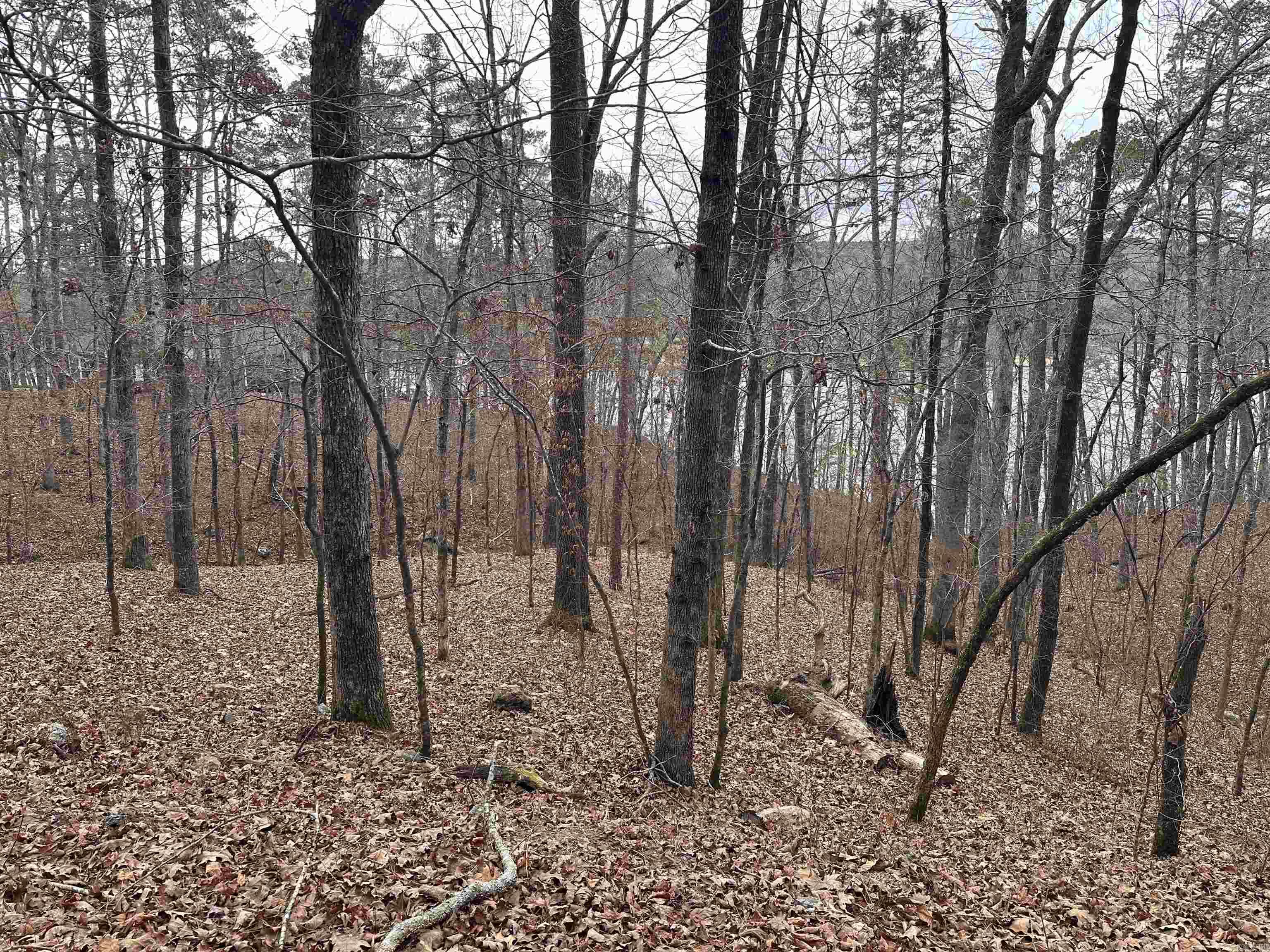 1 Empinado  Hot Springs Village, AR