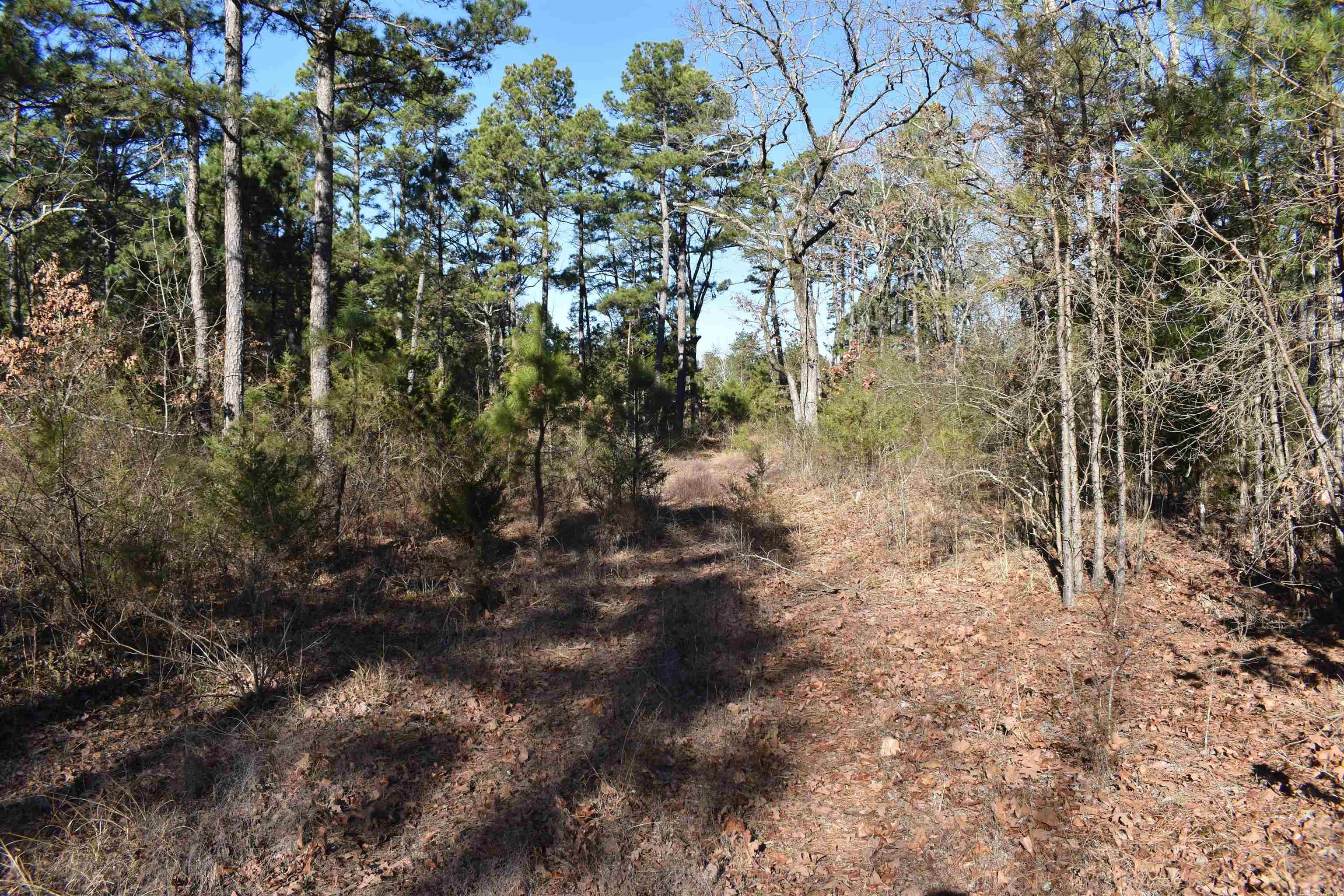 0000 HWY 22  Delaware, AR