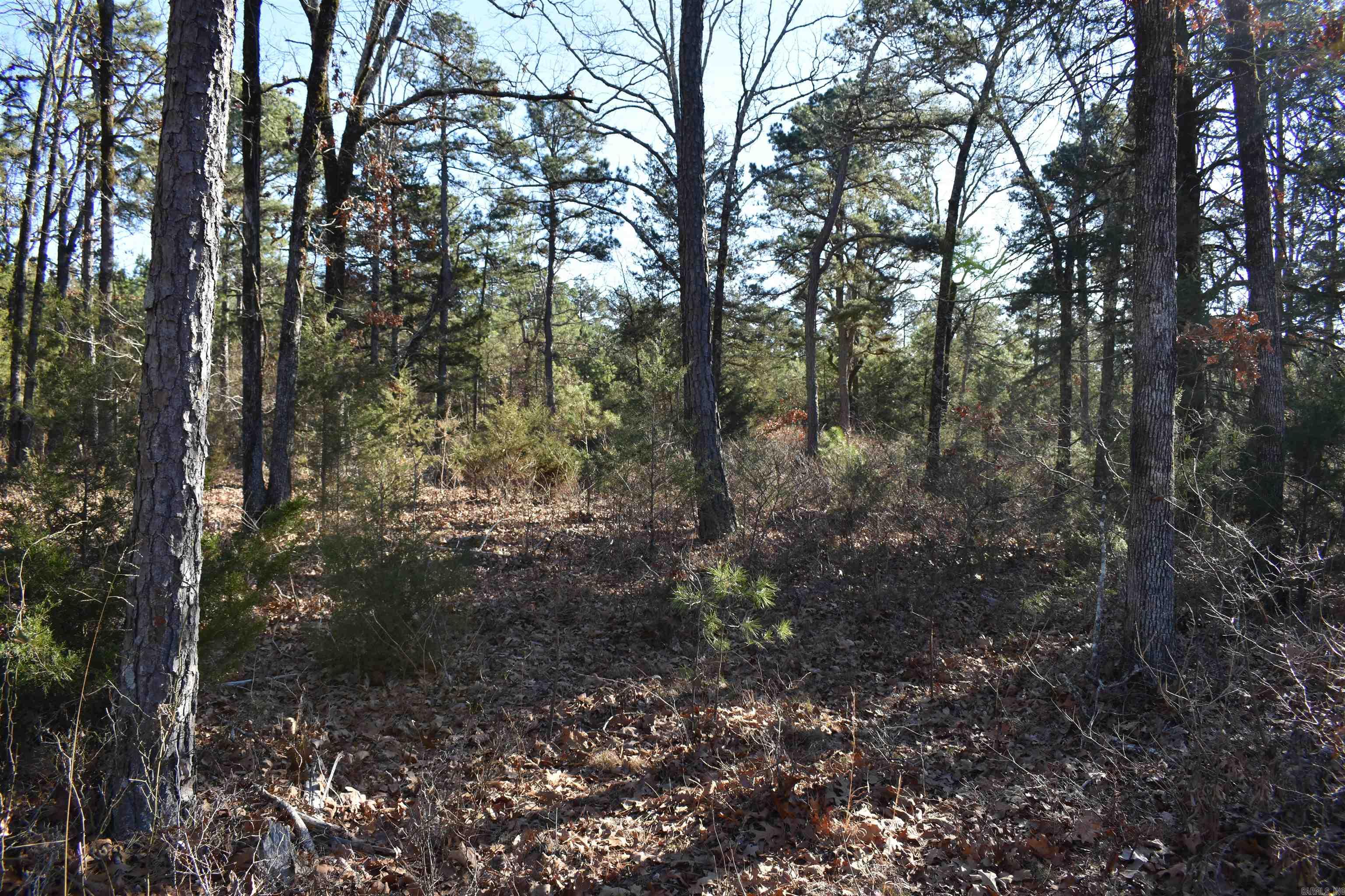 0000 HWY 22  Delaware, AR