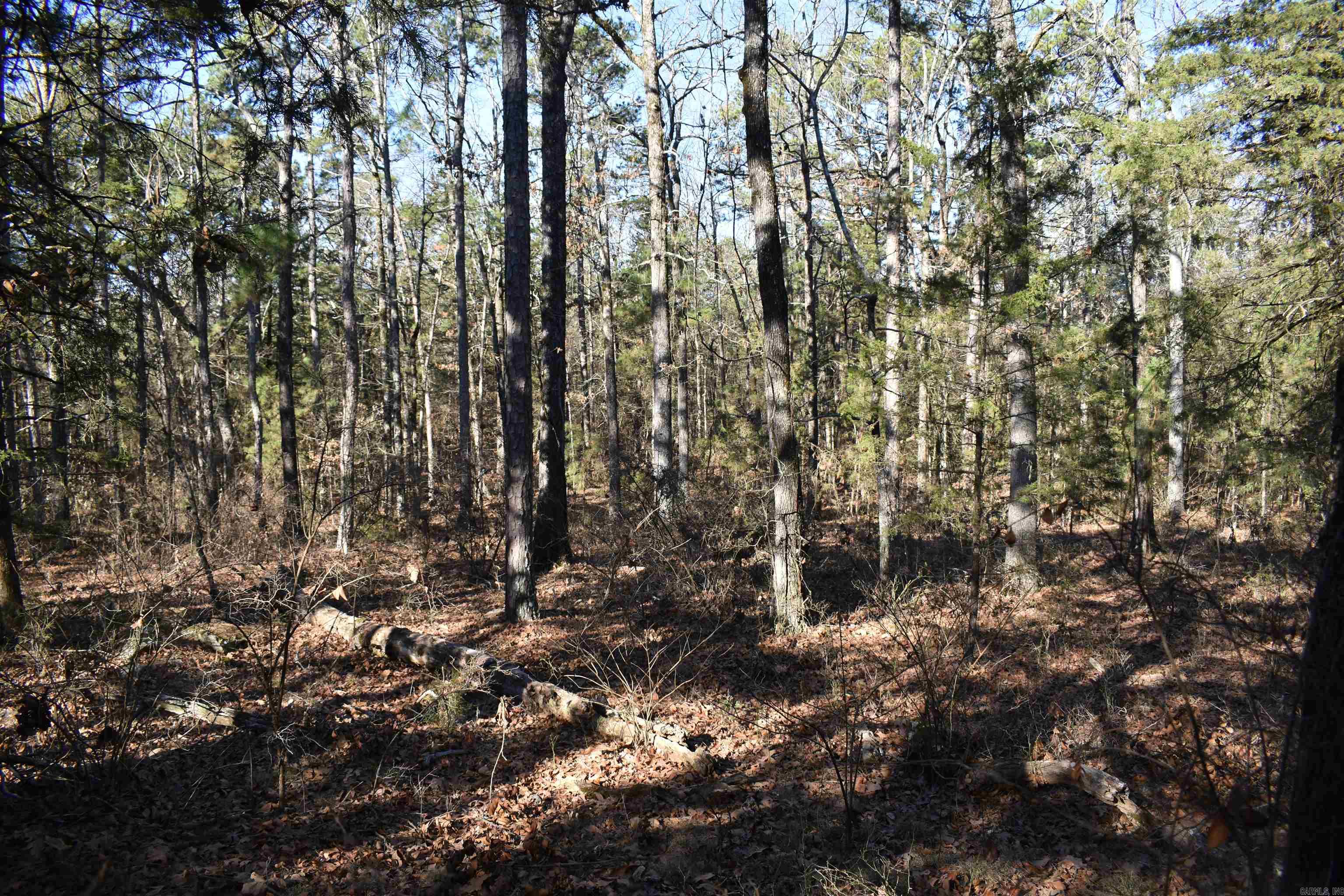 0000 HWY 22  Delaware, AR