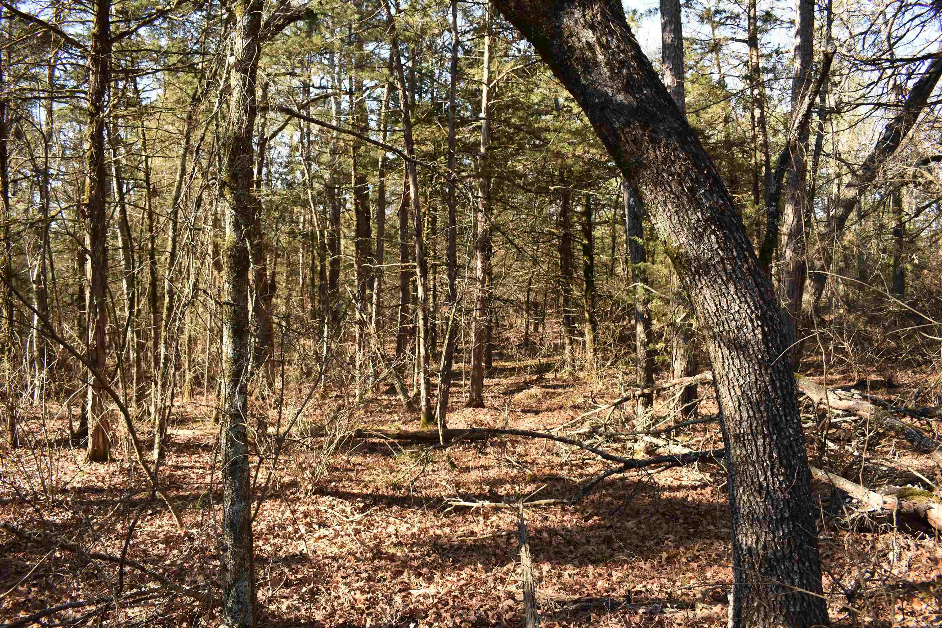 0000 HWY 22  Delaware, AR