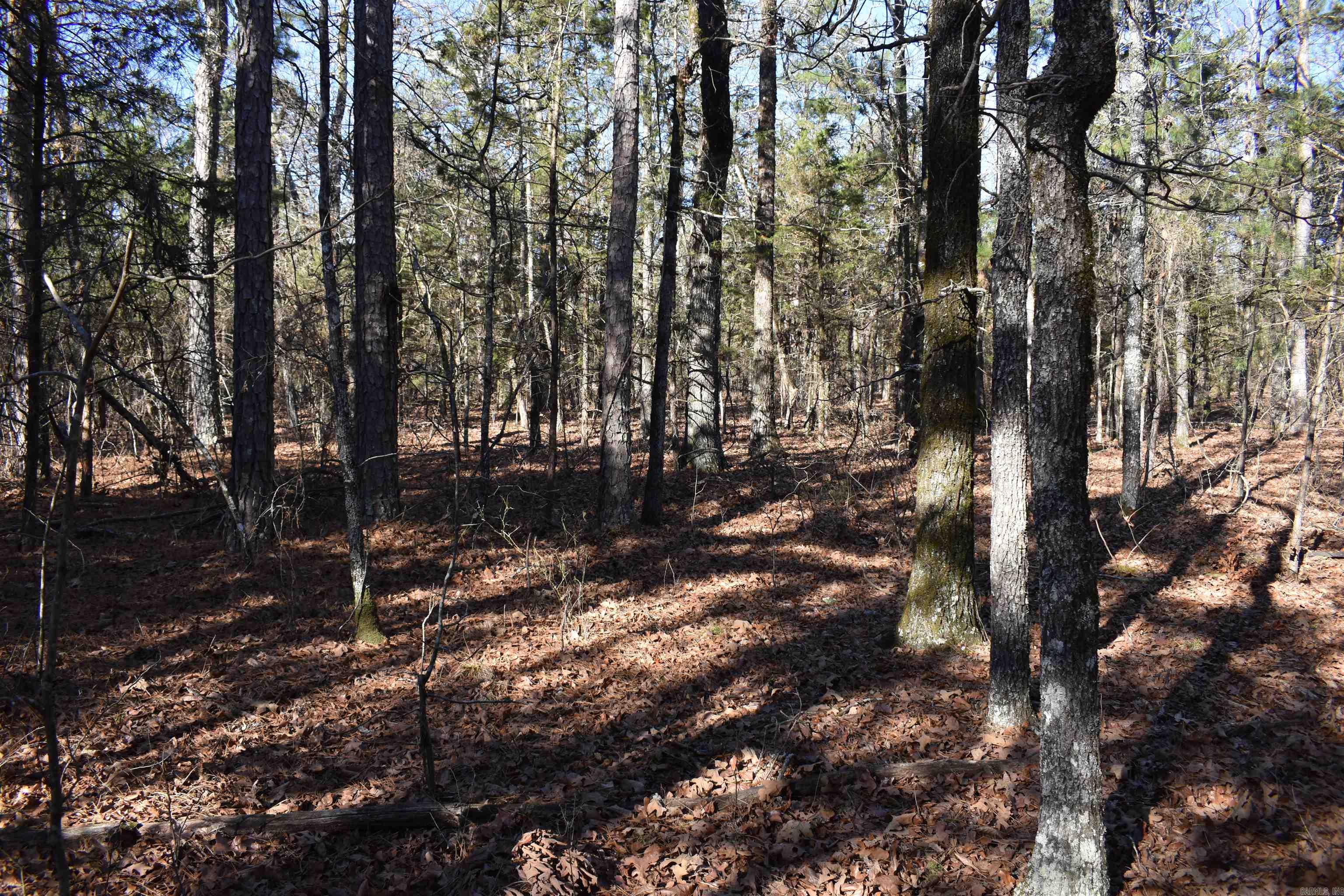 0000 HWY 22  Delaware, AR