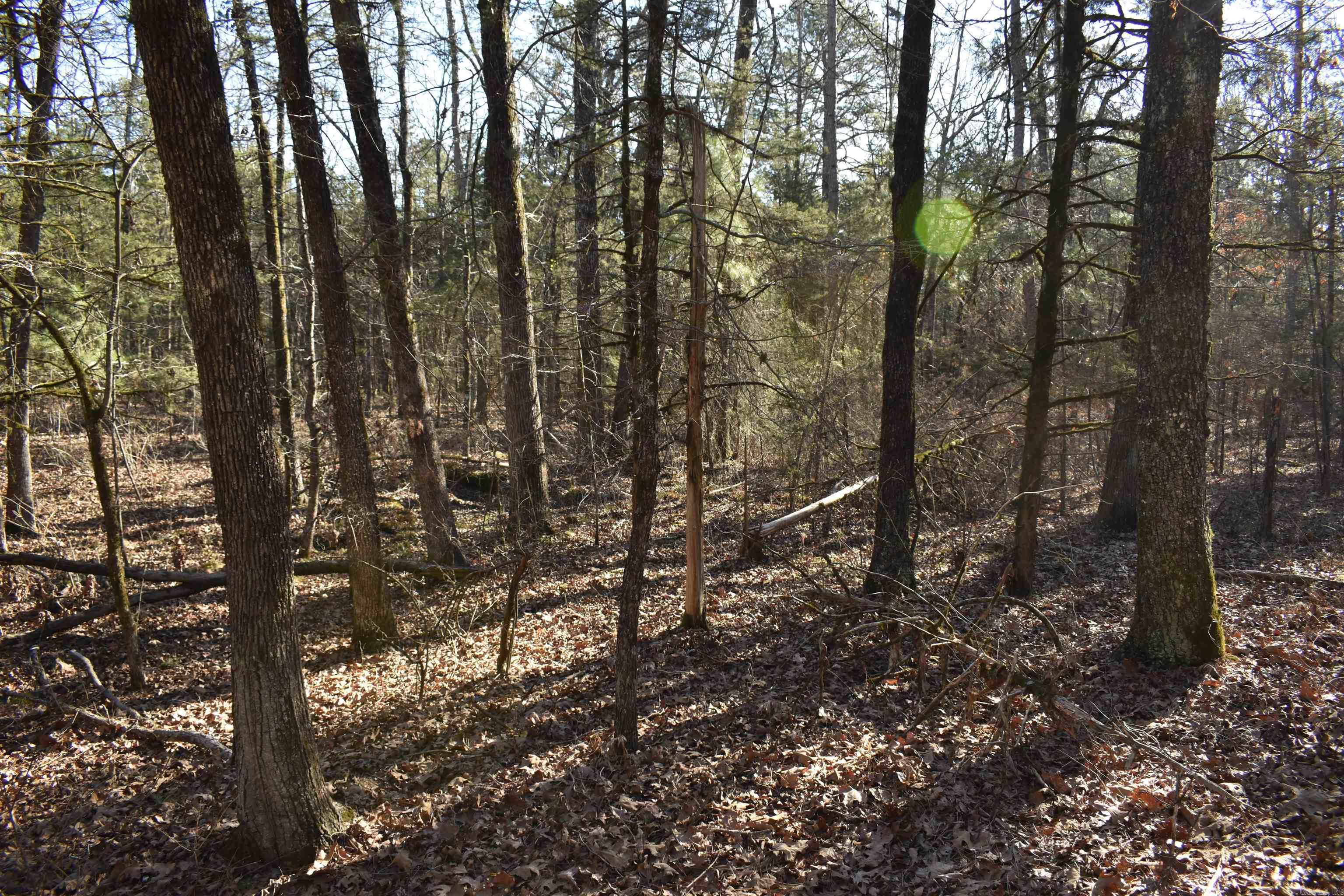 0000 HWY 22  Delaware, AR