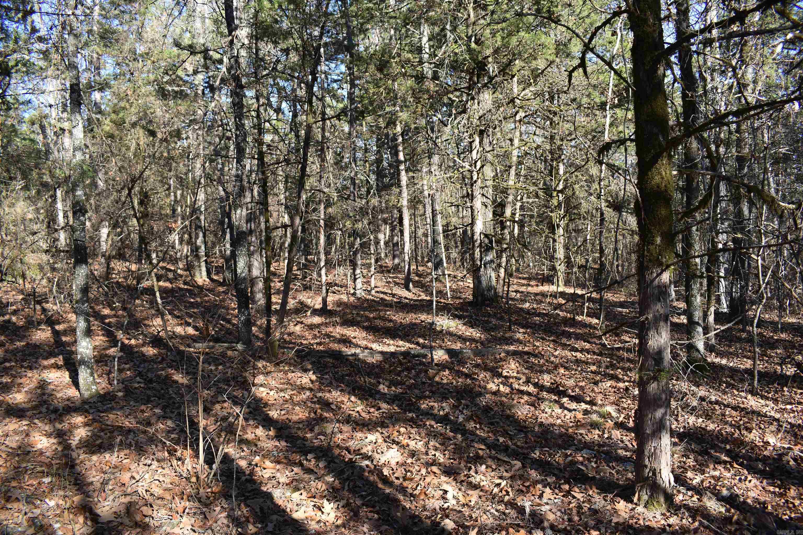 0000 HWY 22  Delaware, AR