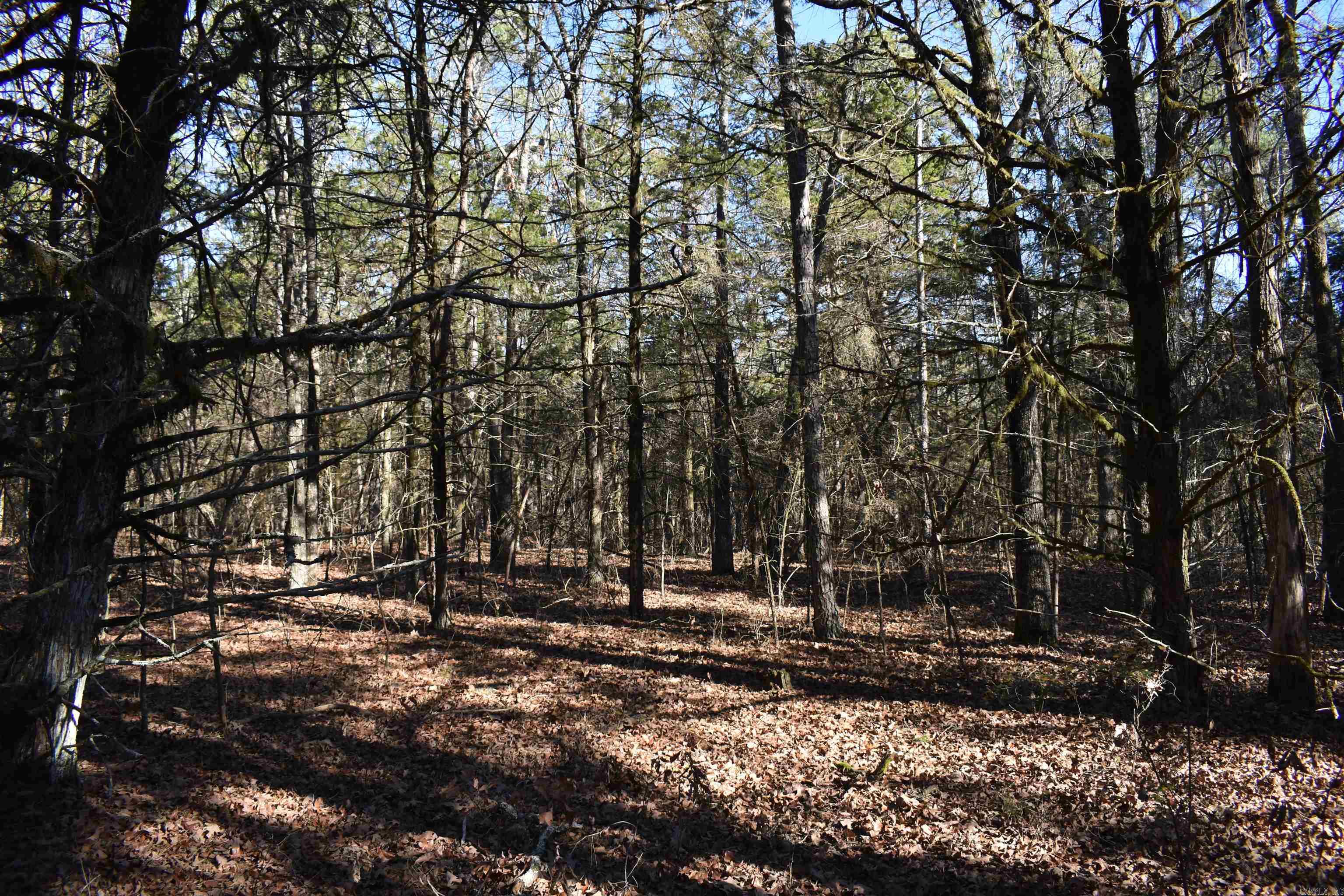 0000 HWY 22  Delaware, AR