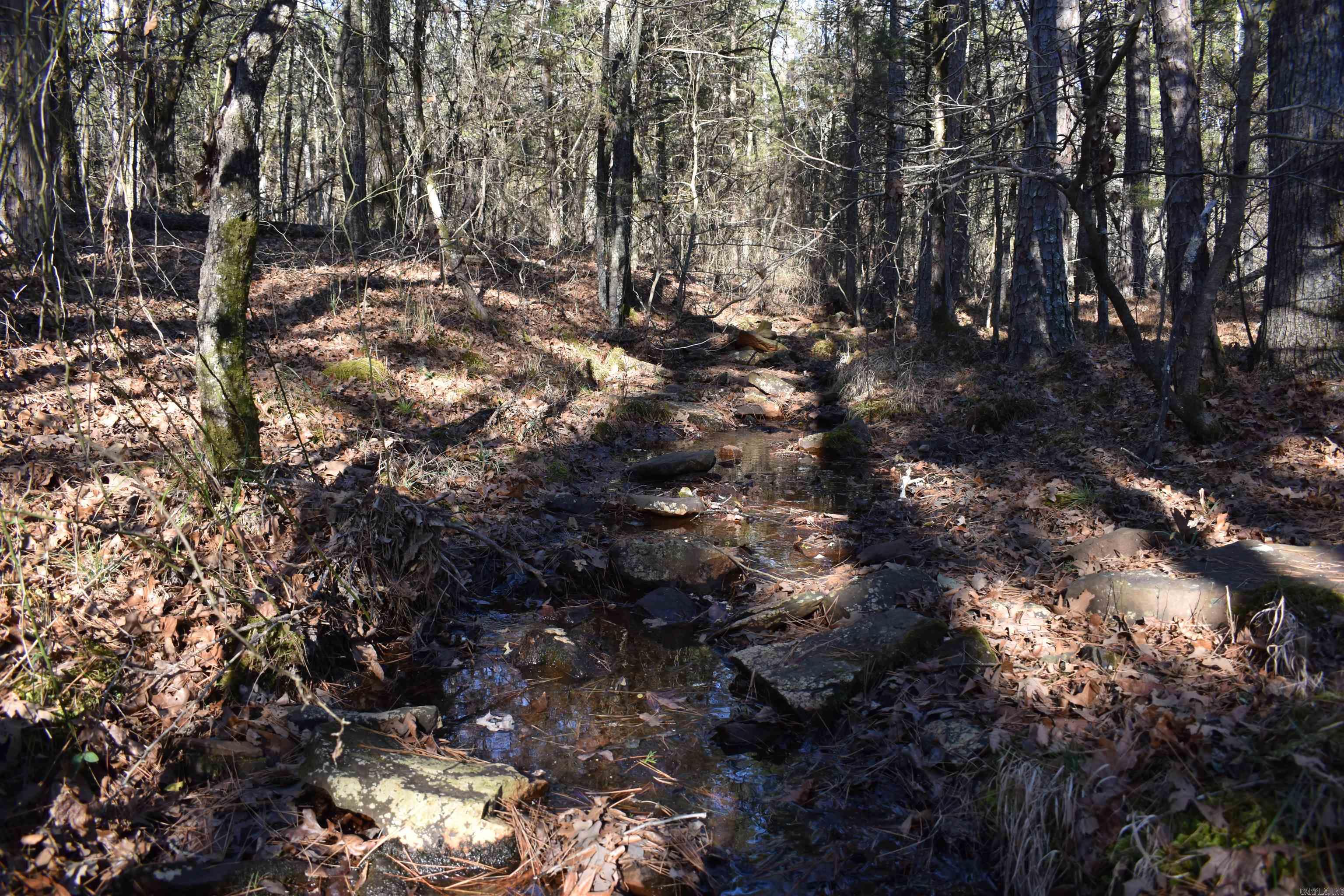 0000 HWY 22  Delaware, AR