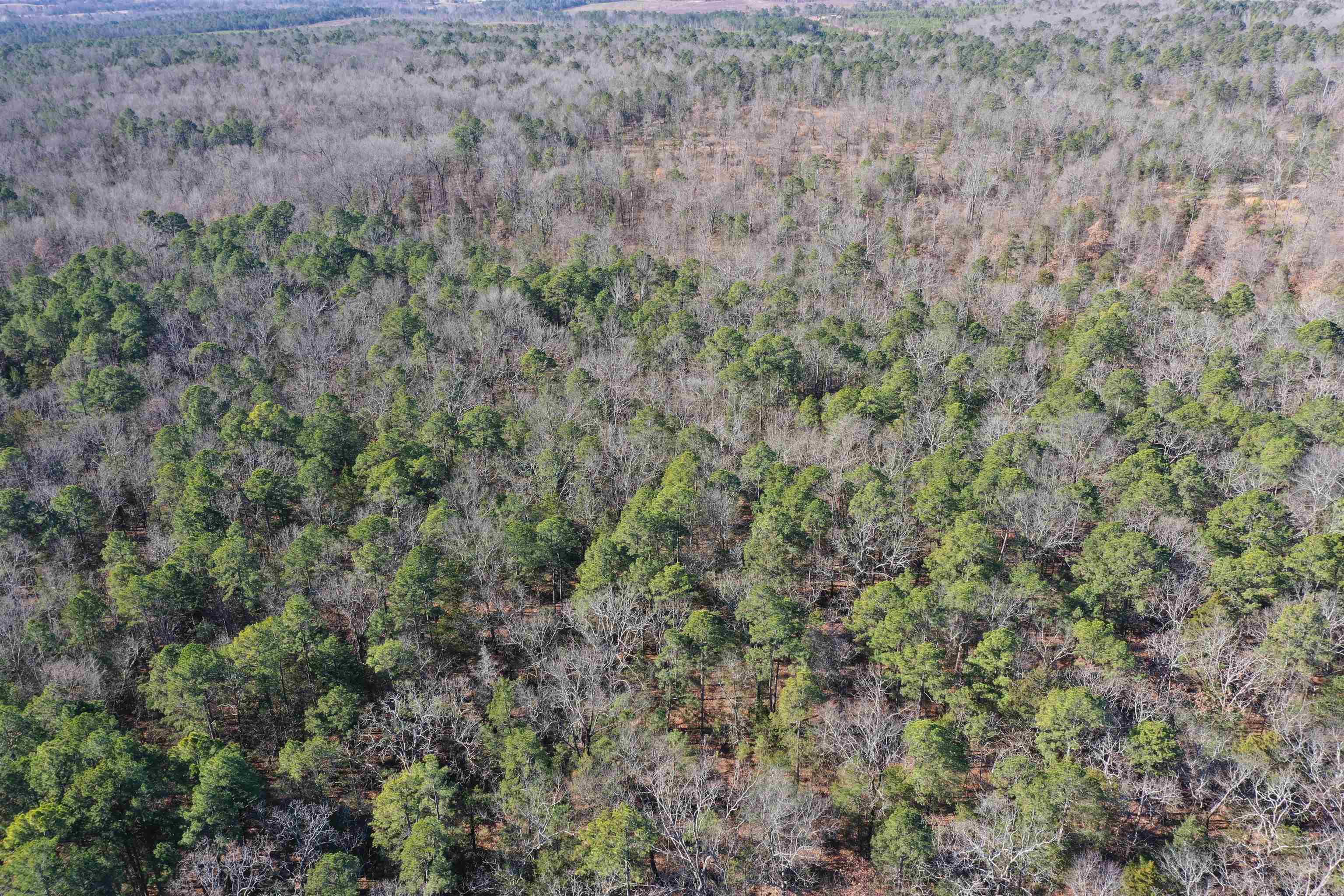 0000 HWY 22  Delaware, AR