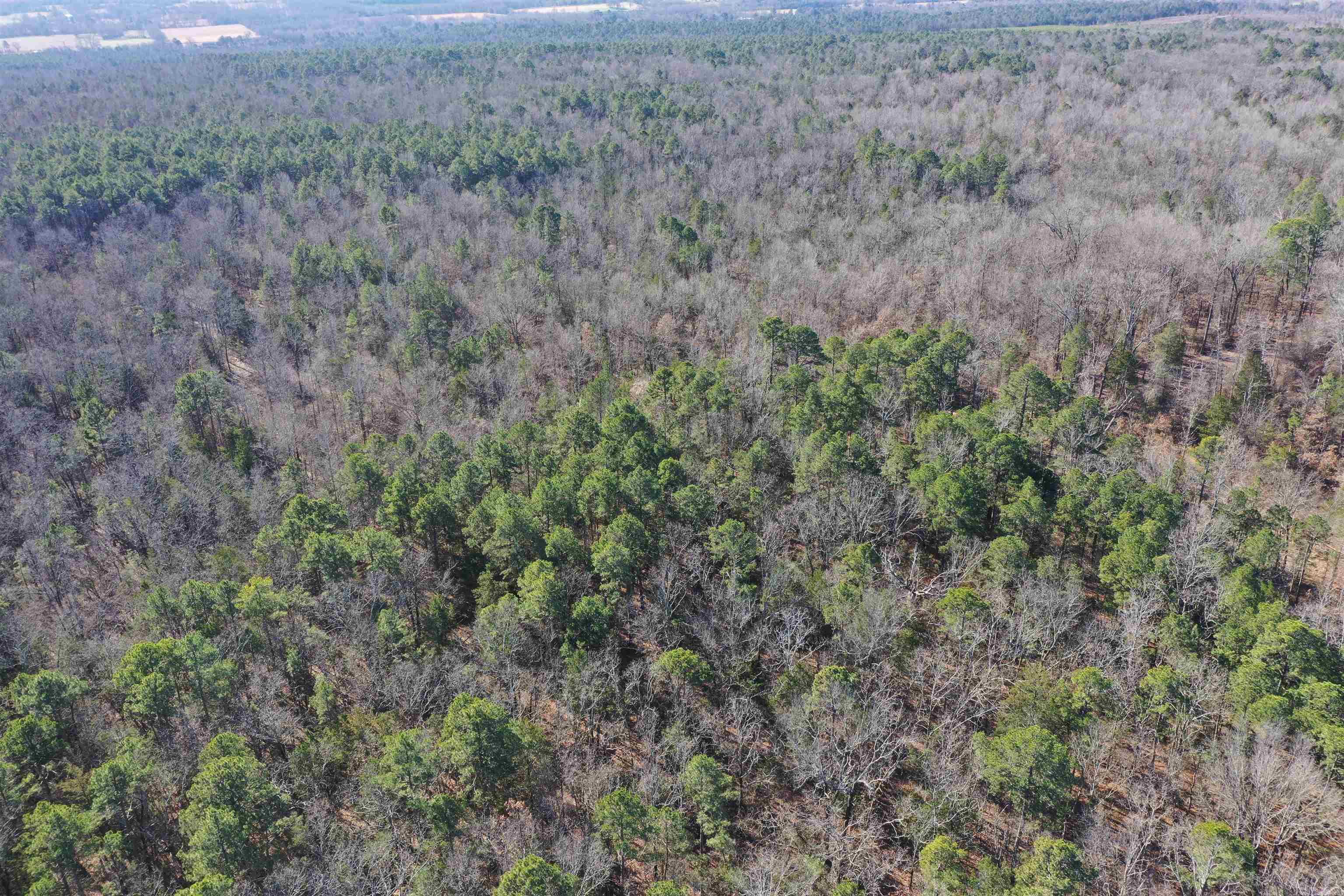 0000 HWY 22  Delaware, AR