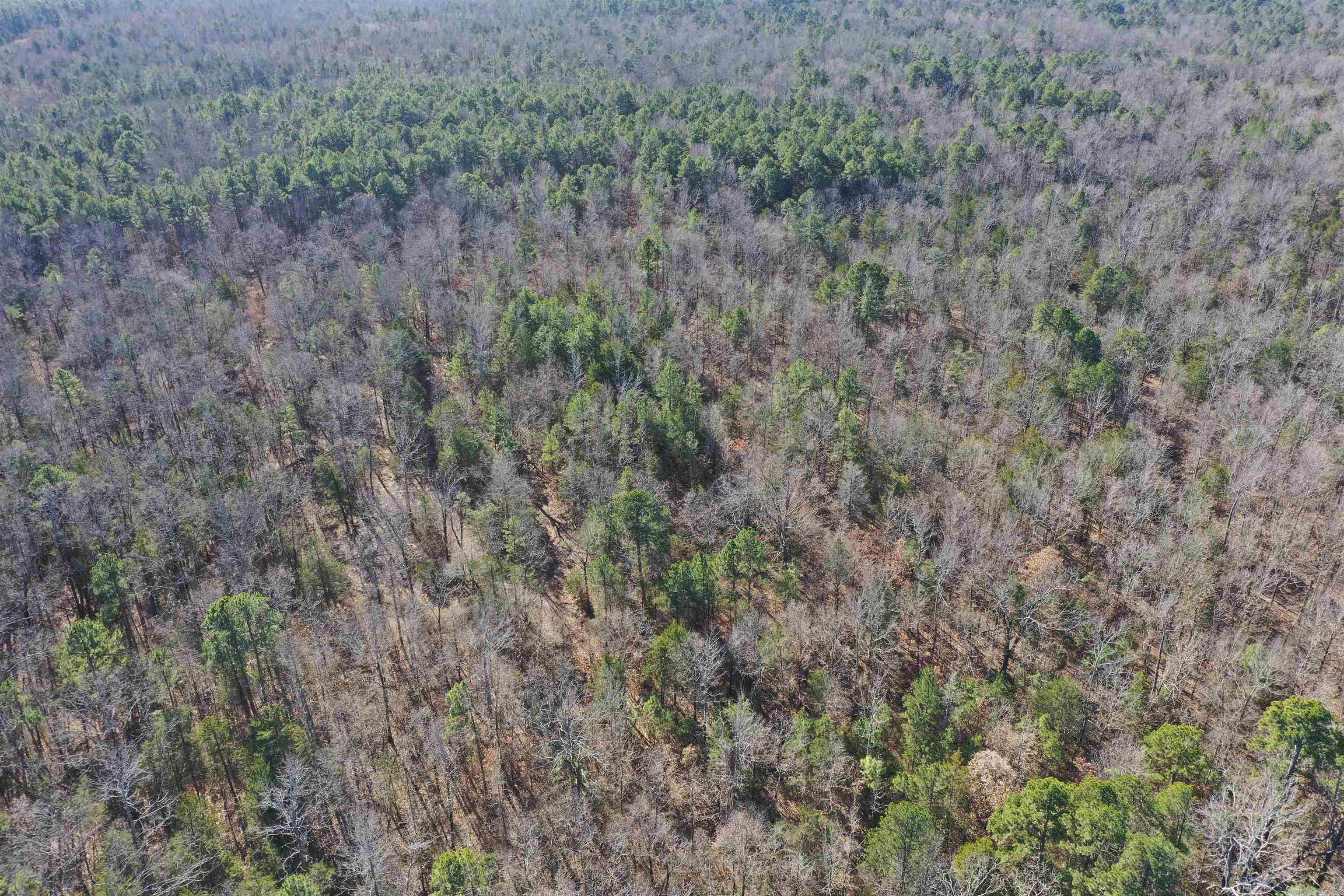 0000 HWY 22  Delaware, AR