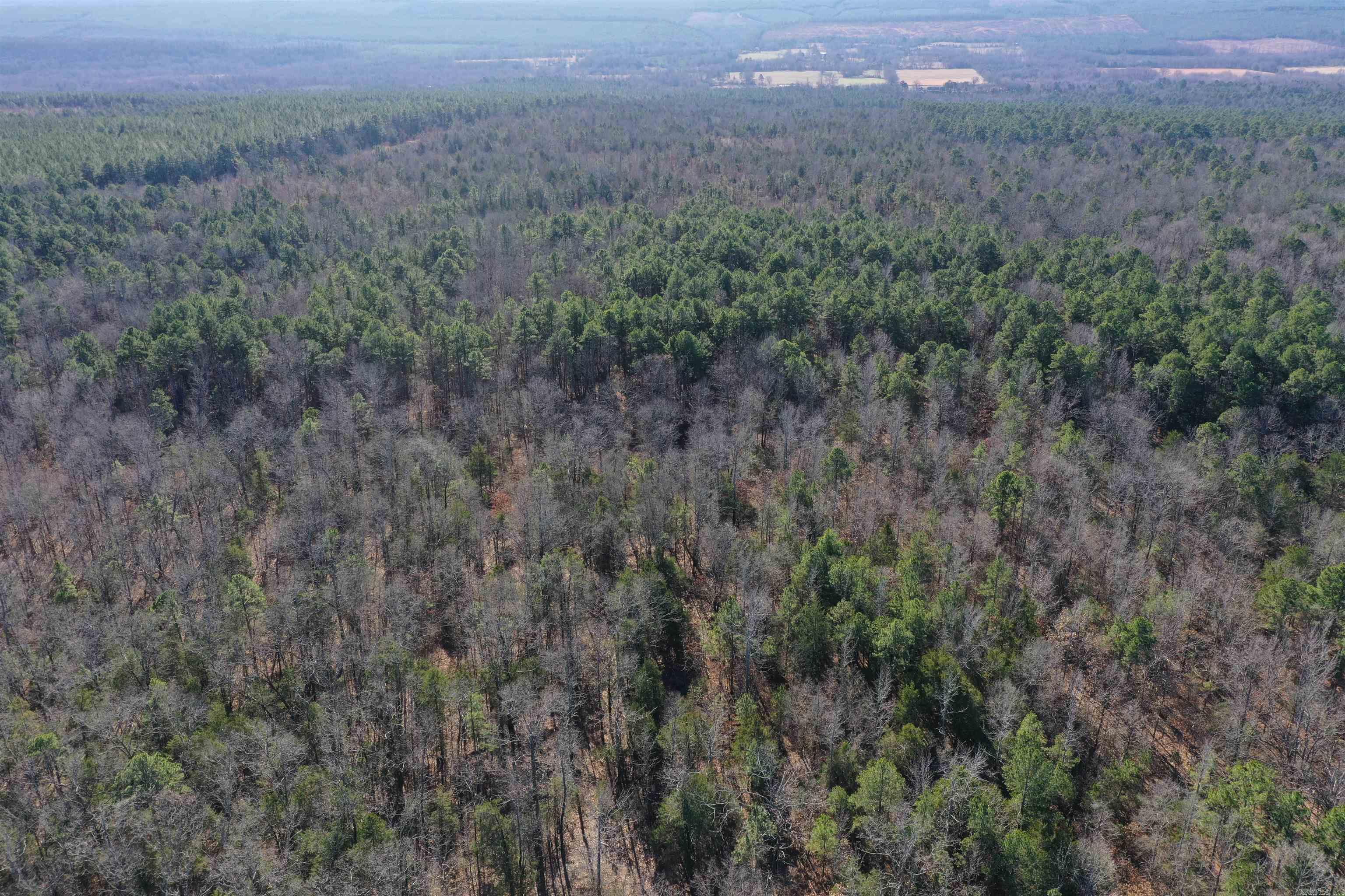 0000 HWY 22  Delaware, AR