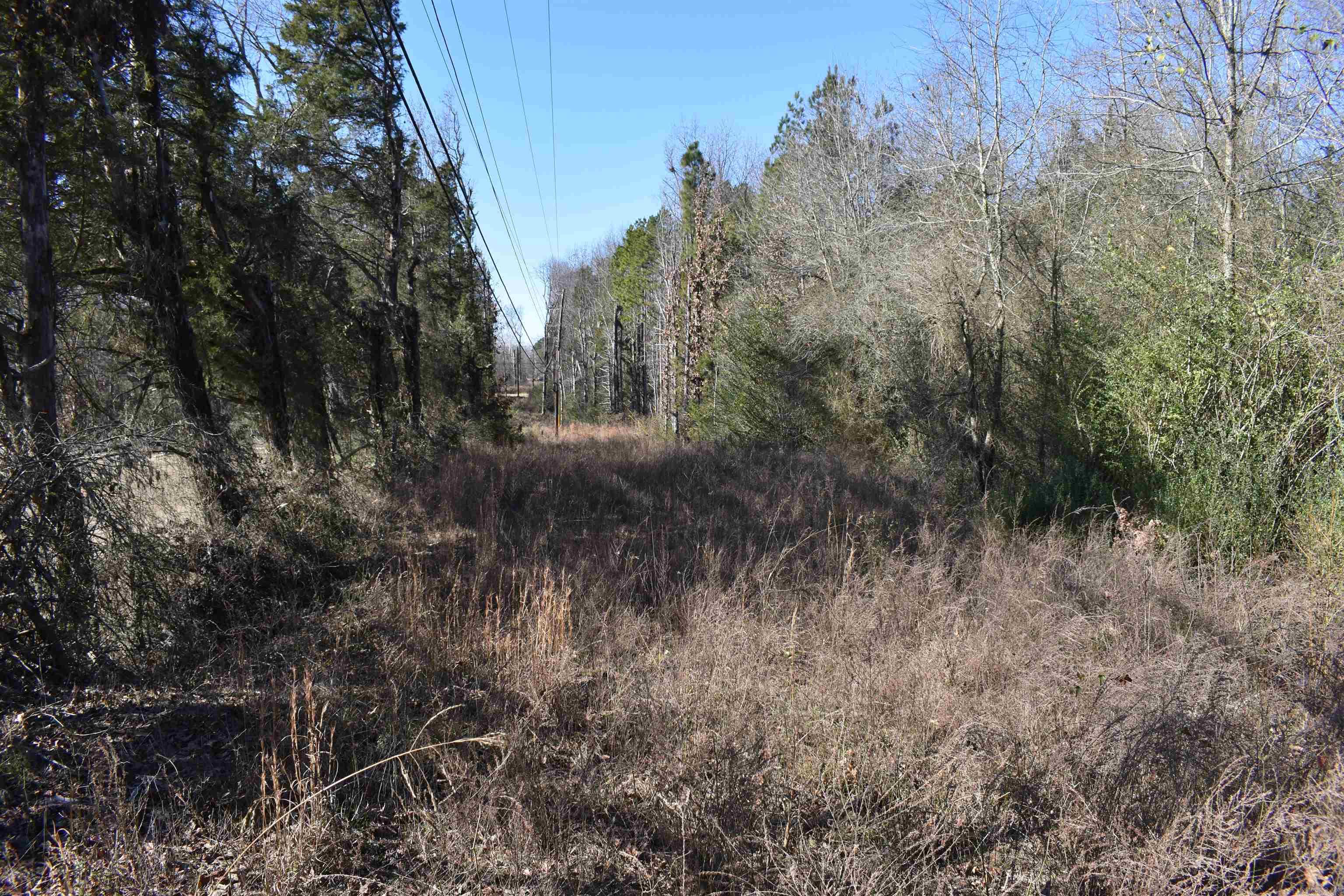 0000 Fire Dept. Loop  Delaware, AR