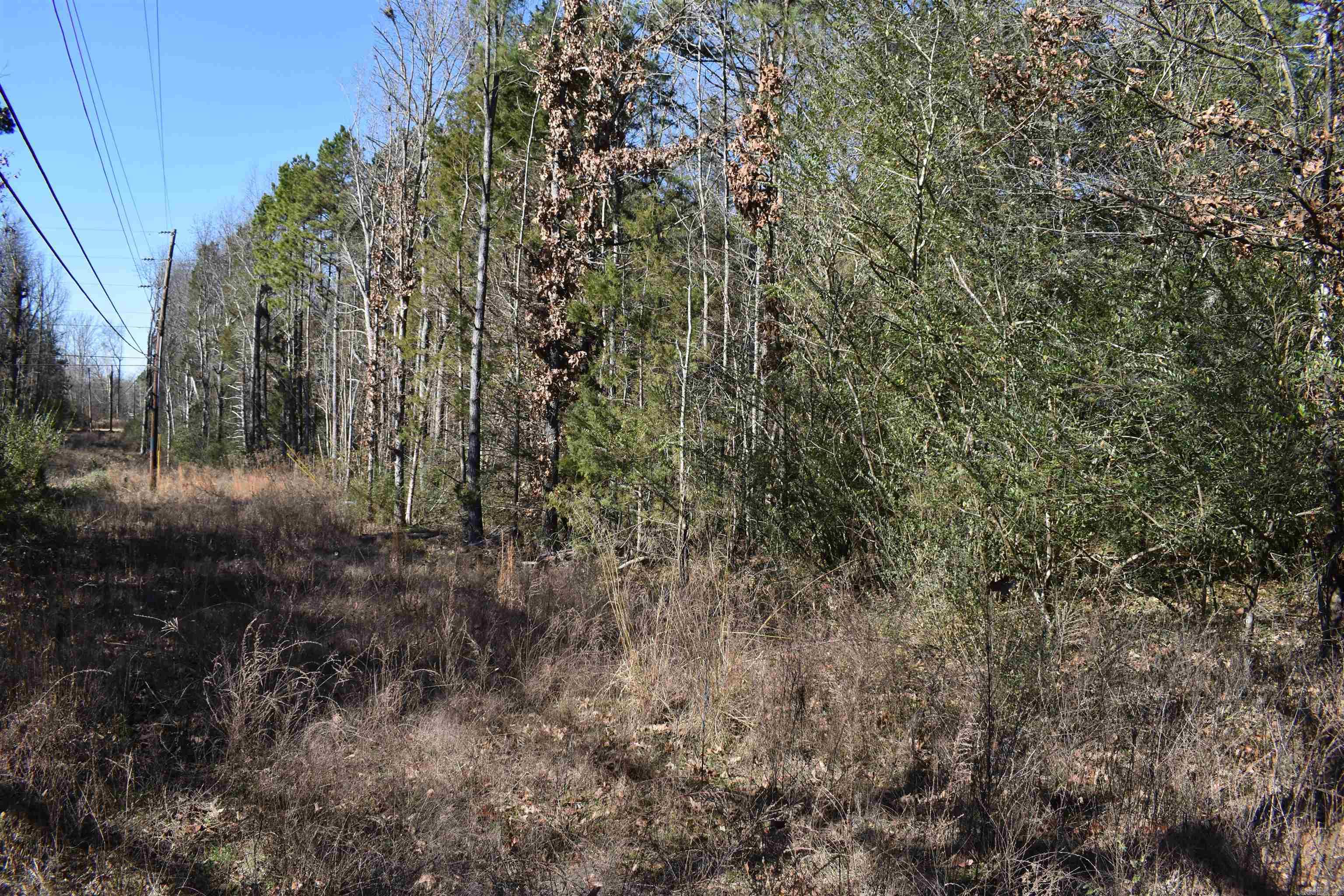 0000 Fire Dept. Loop  Delaware, AR