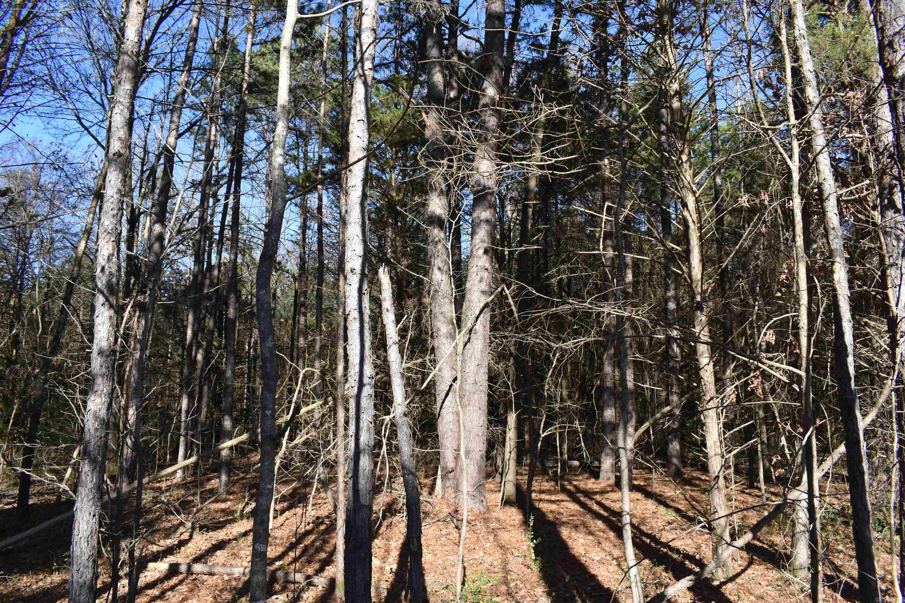 0000 Fire Dept. Loop  Delaware, AR