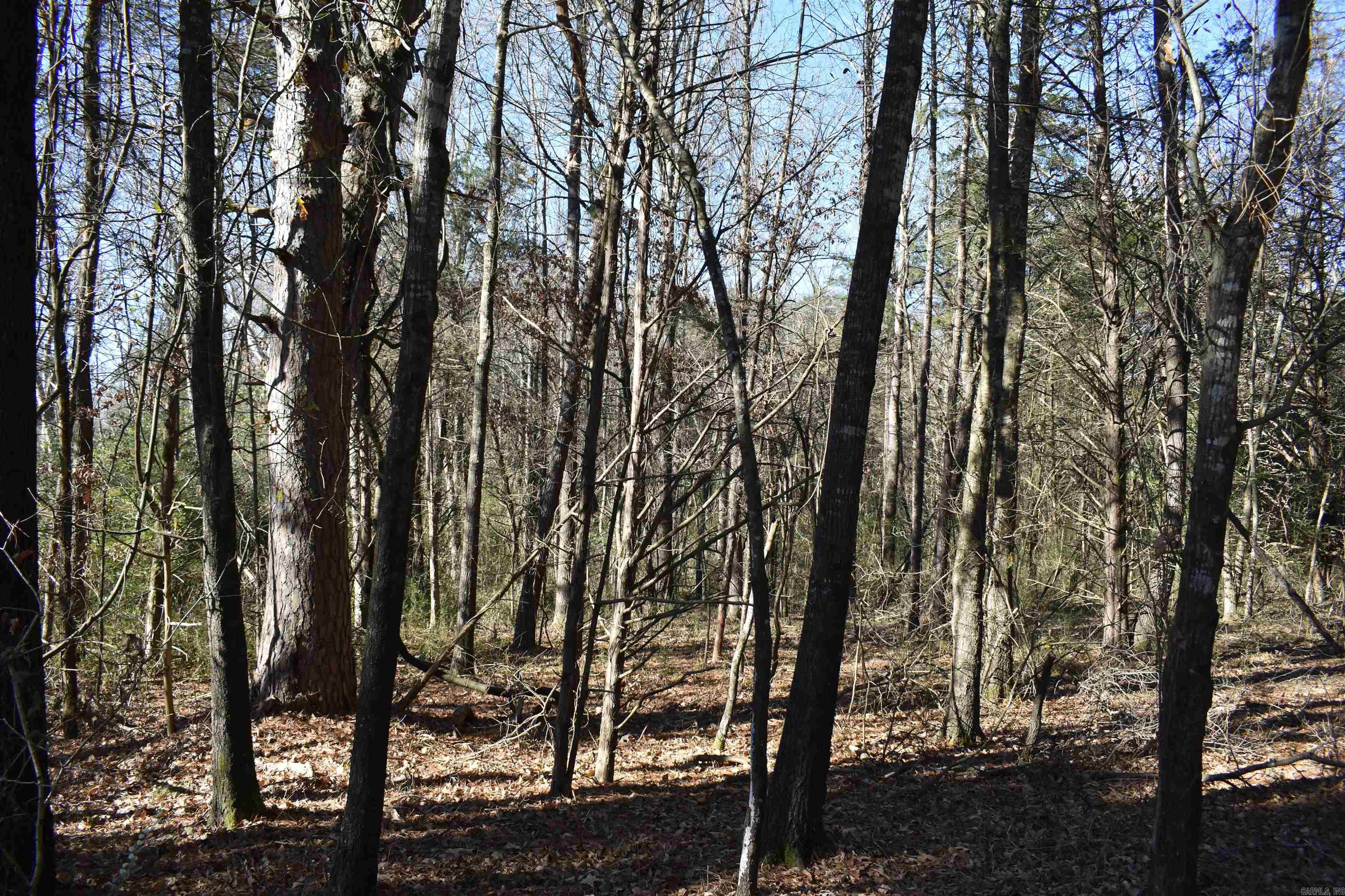 0000 Fire Dept. Loop  Delaware, AR