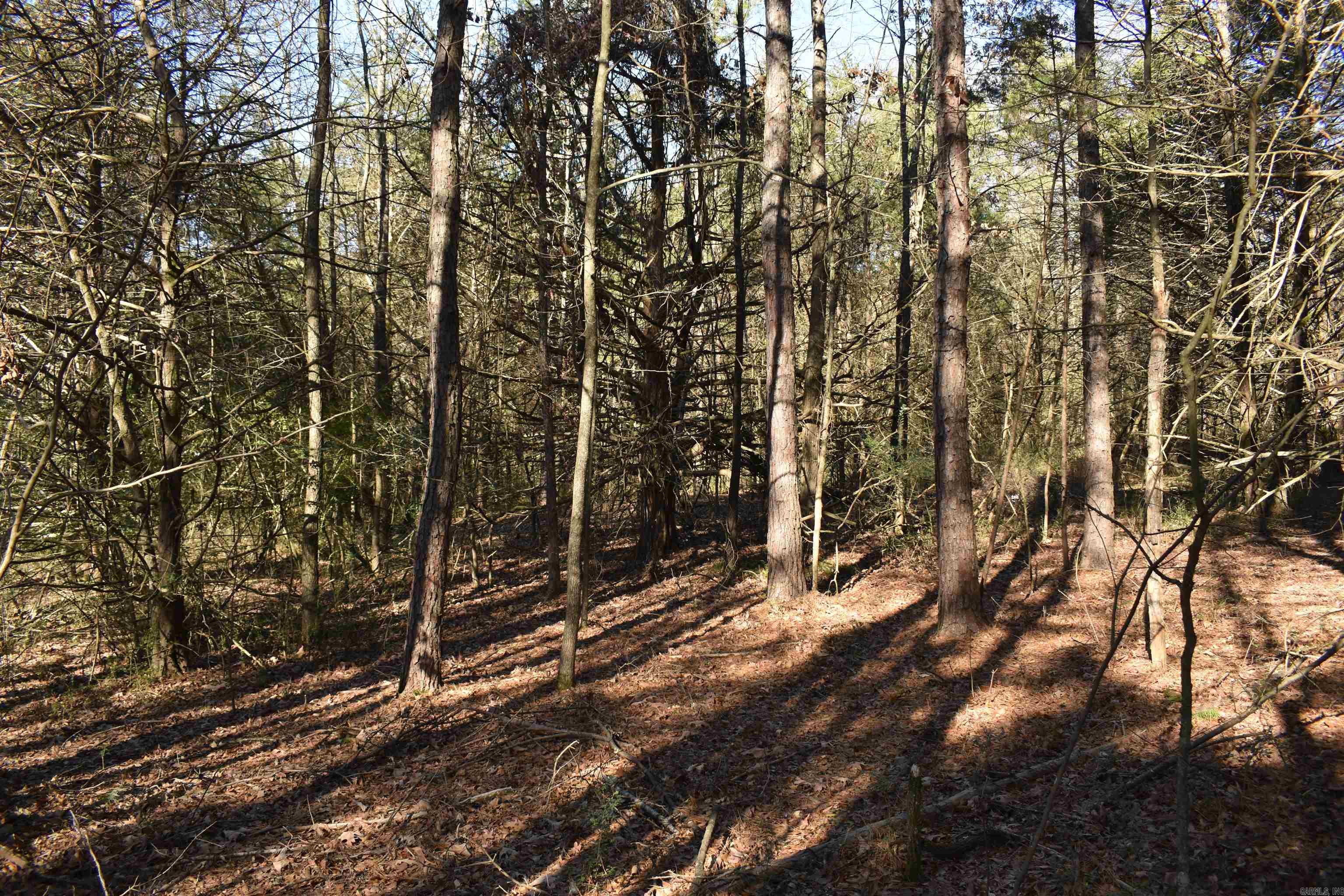 0000 Fire Dept. Loop  Delaware, AR