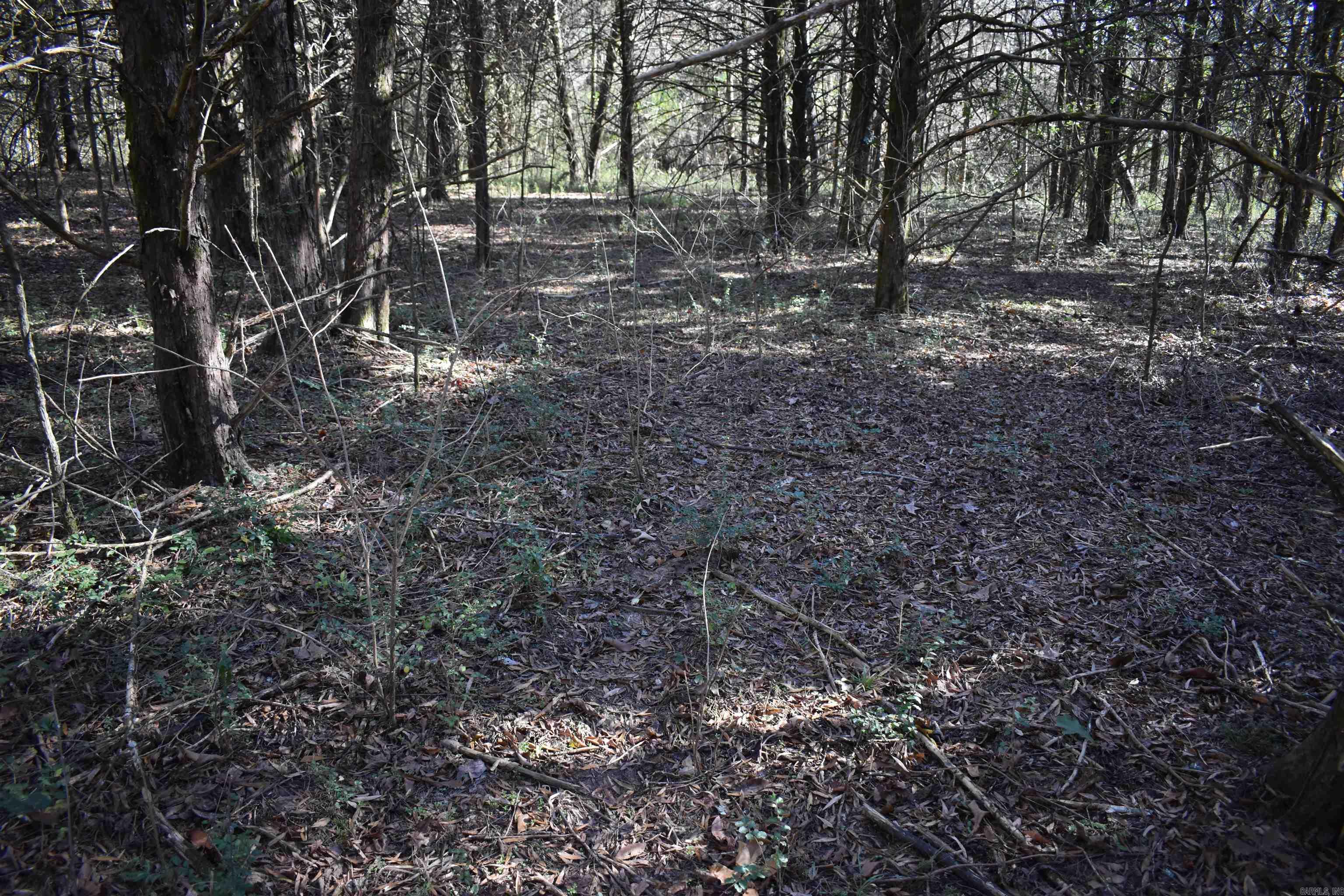 0000 Fire Dept. Loop  Delaware, AR