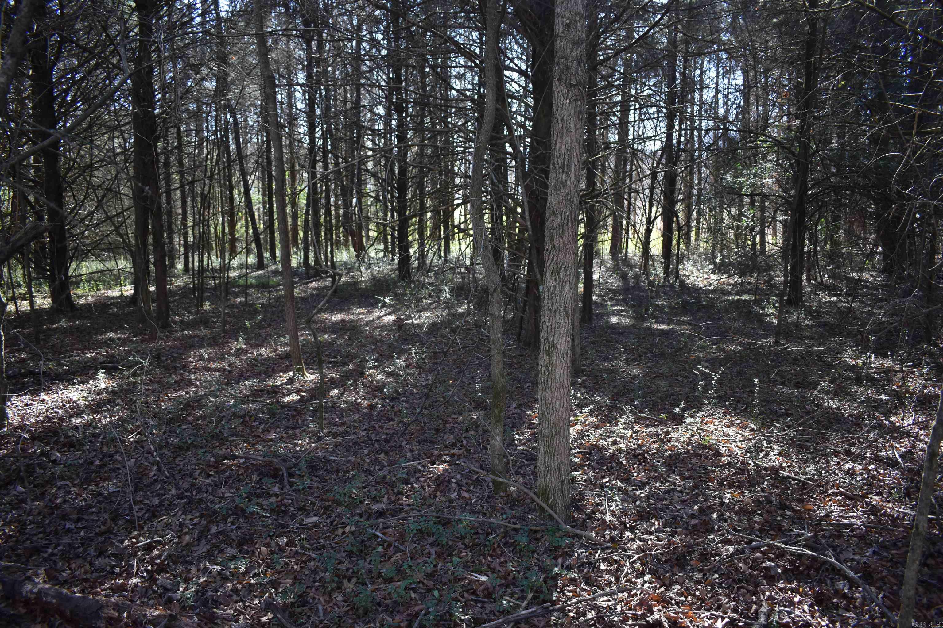 0000 Fire Dept. Loop  Delaware, AR