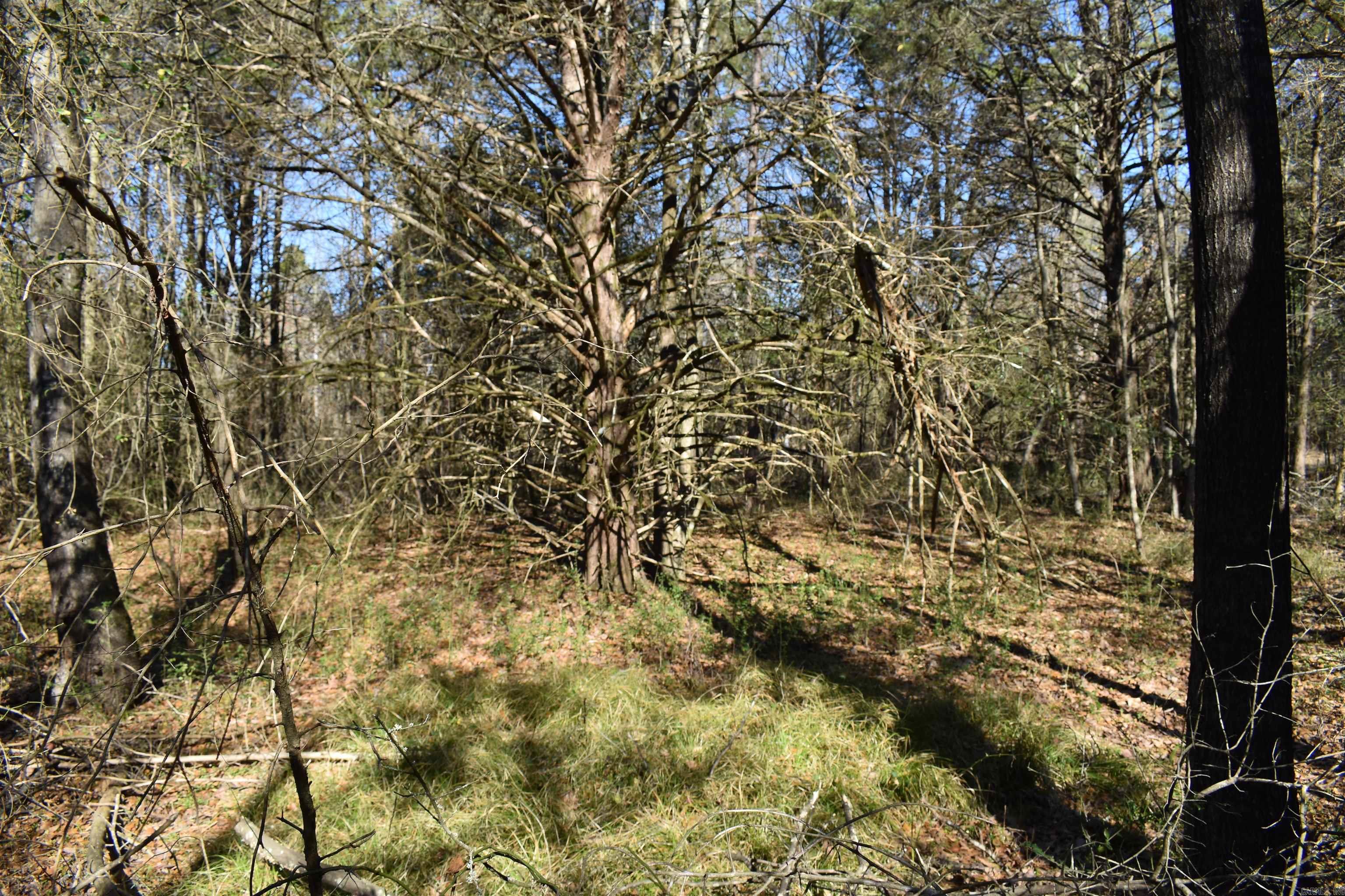 0000 Fire Dept. Loop  Delaware, AR