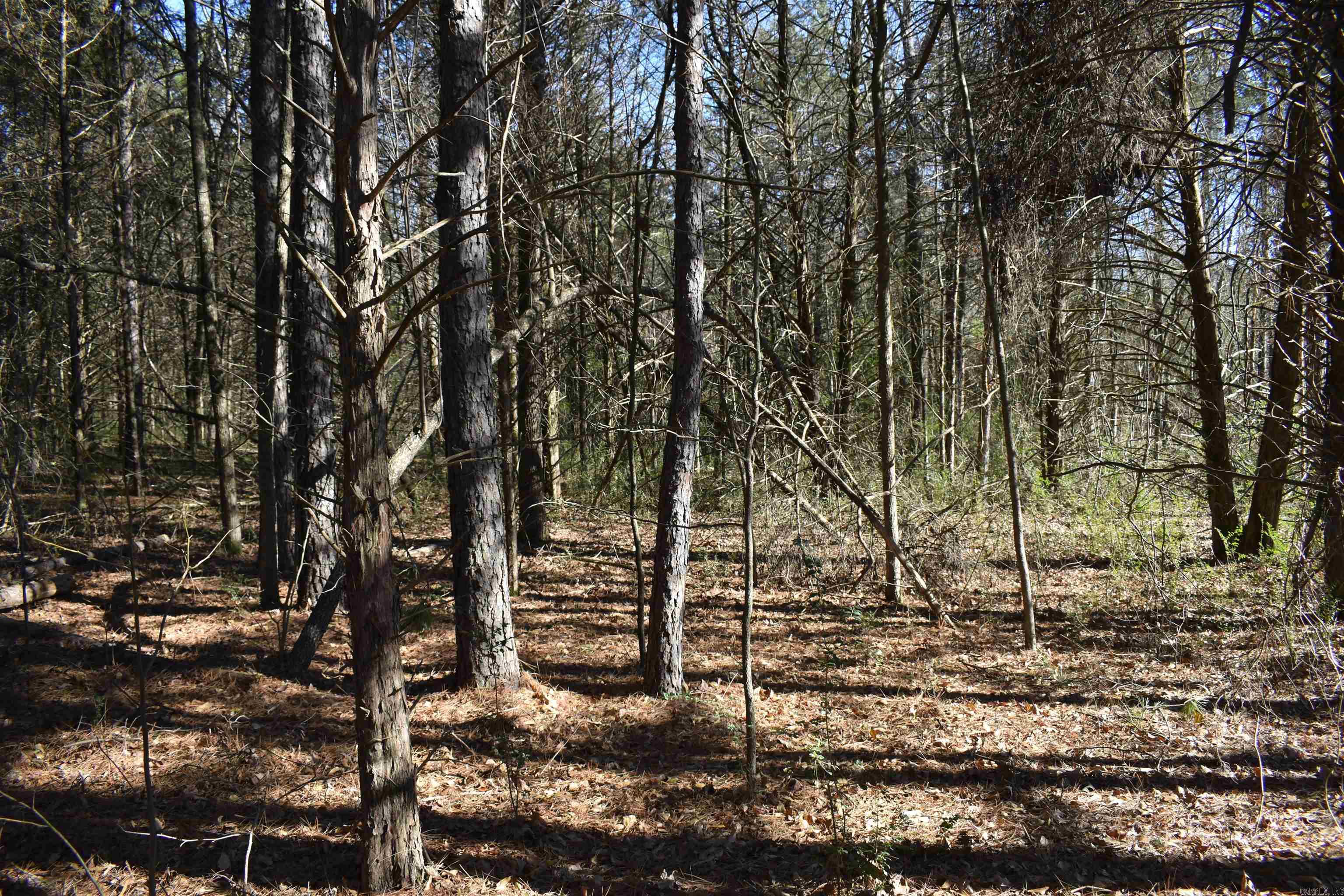 0000 Fire Dept. Loop  Delaware, AR