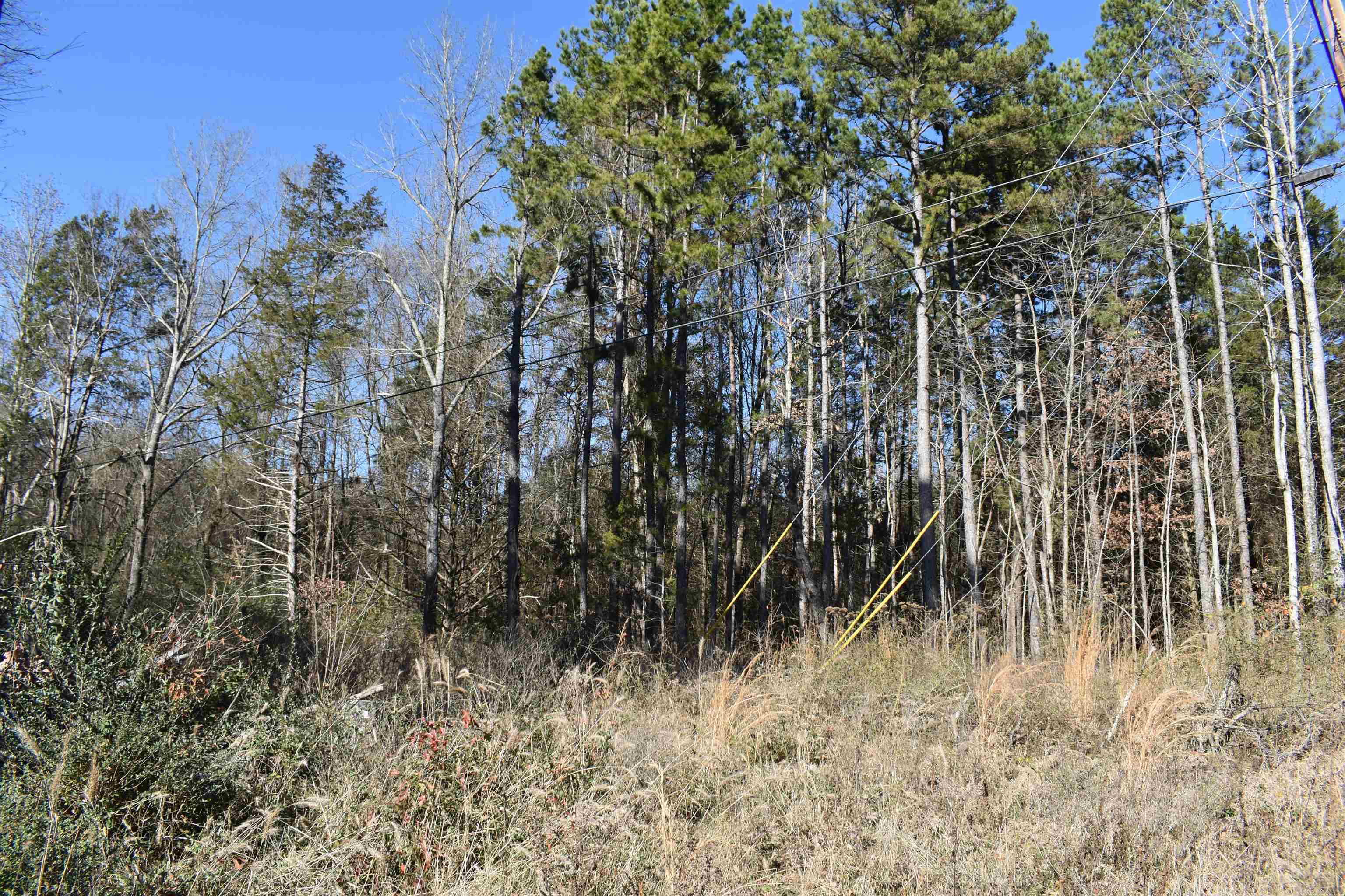 0000 Fire Dept. Loop  Delaware, AR