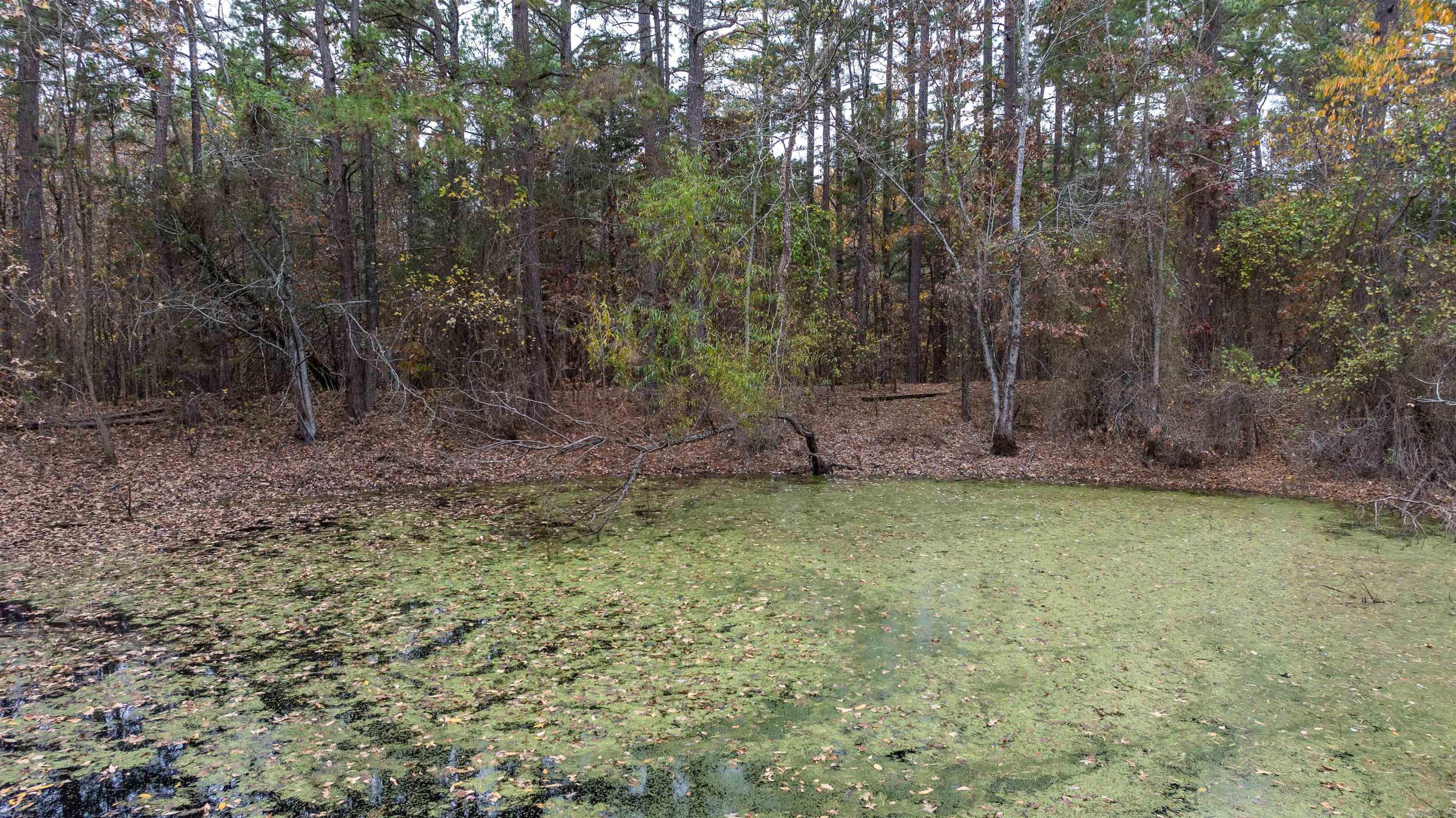 2207 Evening Shade Drive Evening Shade, AR 72532