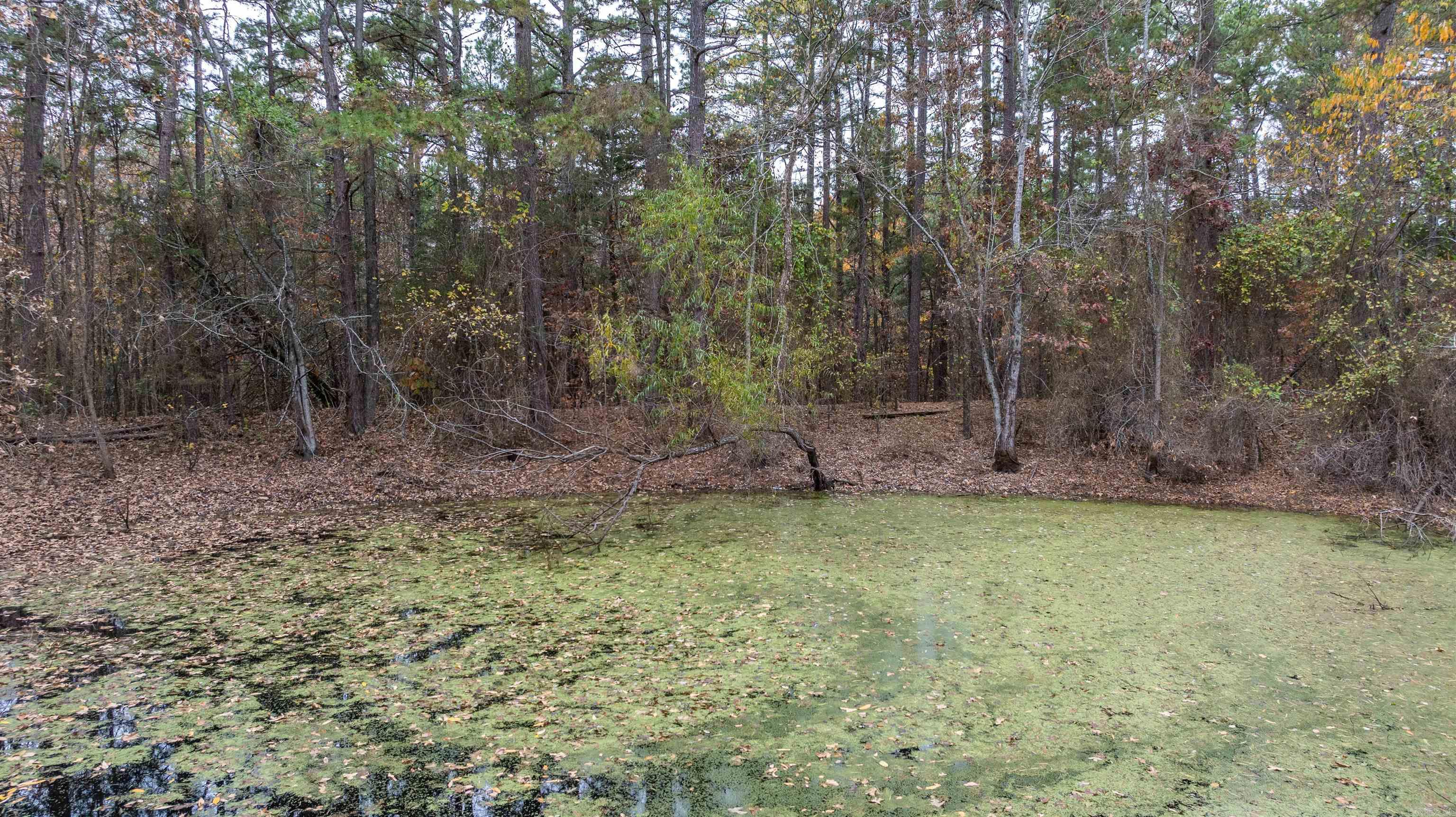 2207 Evening Shade Drive Evening Shade, AR 72532