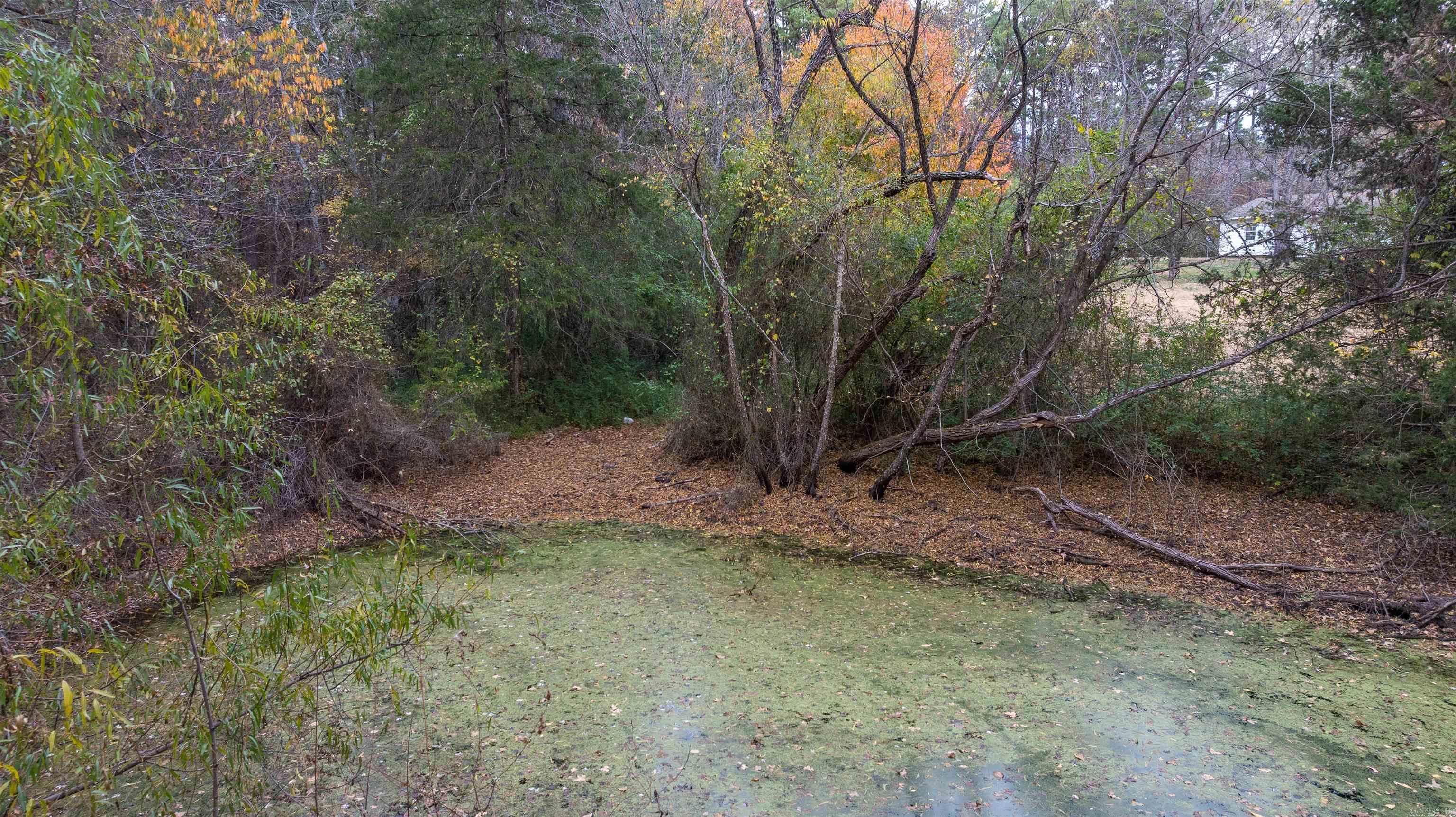 2207 Evening Shade Drive Evening Shade, AR 72532