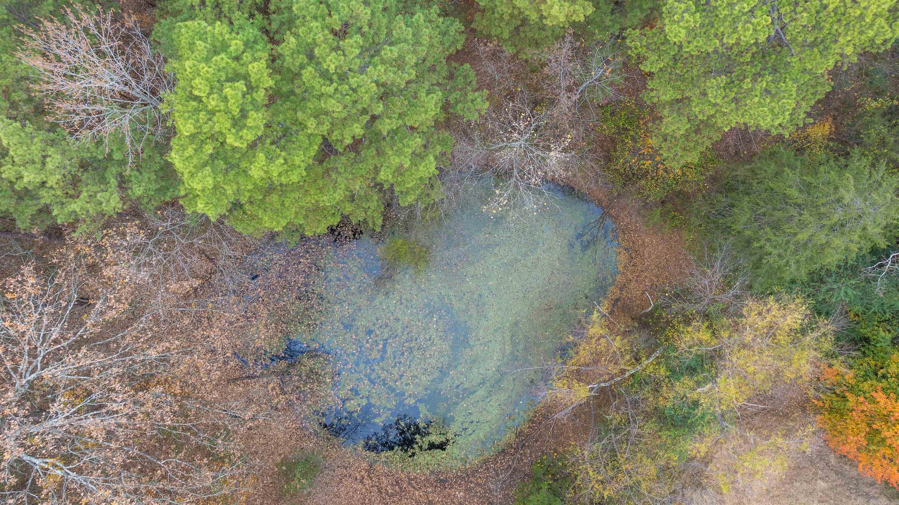 2207 Evening Shade Drive Evening Shade, AR 72532