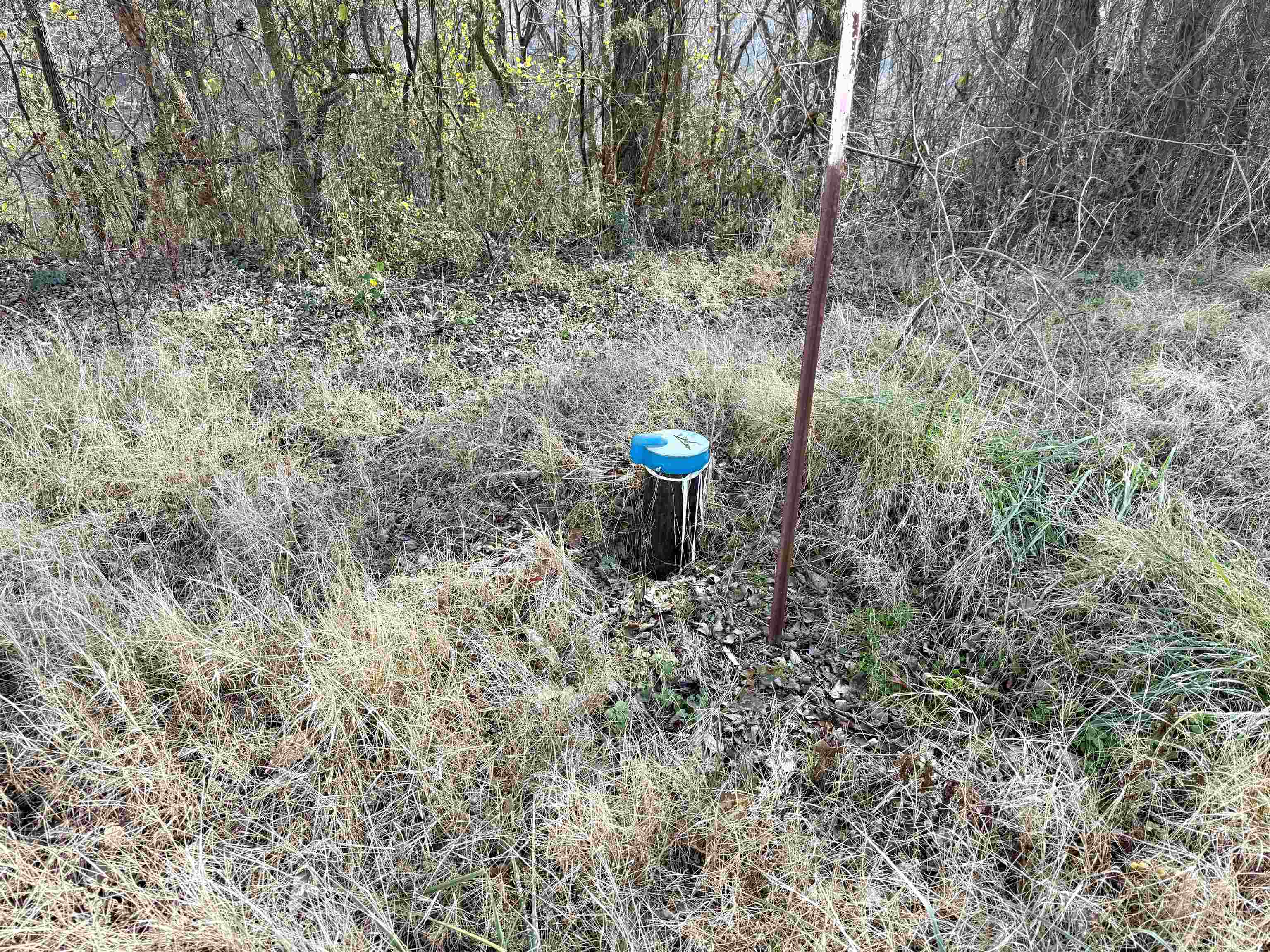 421 Allure Lane  Mountain View, AR