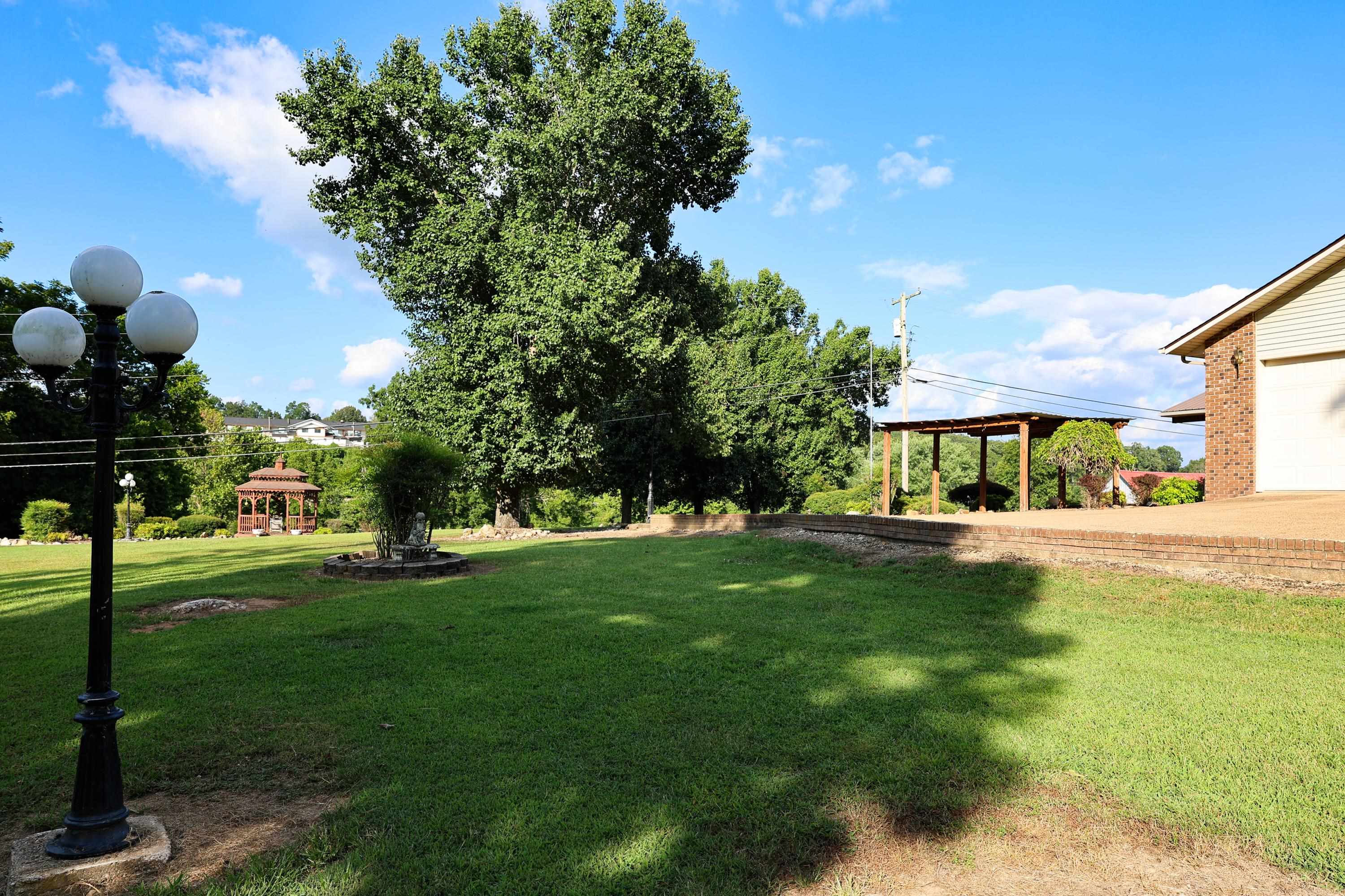 382 Riverview Drive  Mammoth Spring, AR