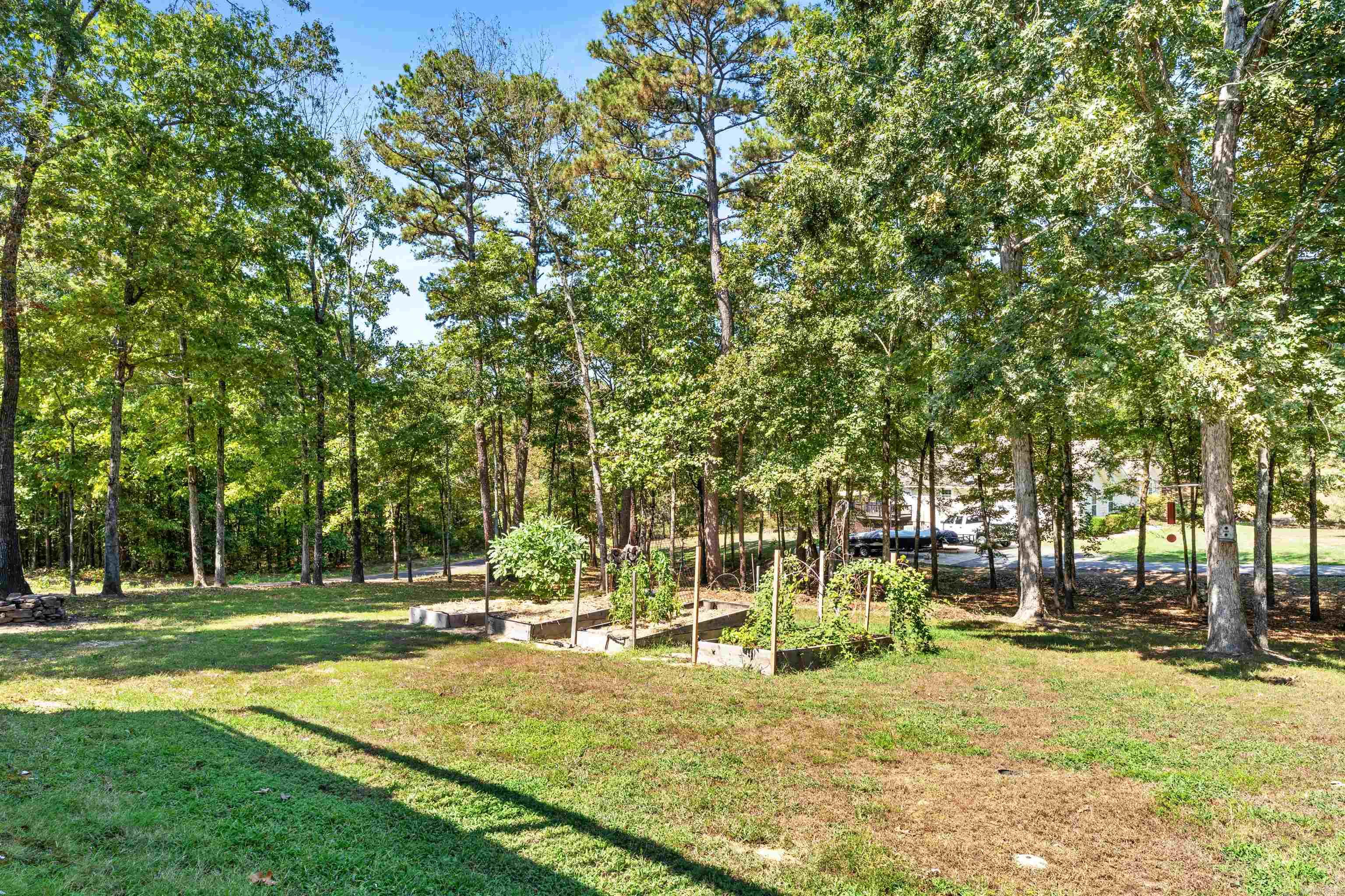 60 Red Fox Rd  Greers Ferry, AR