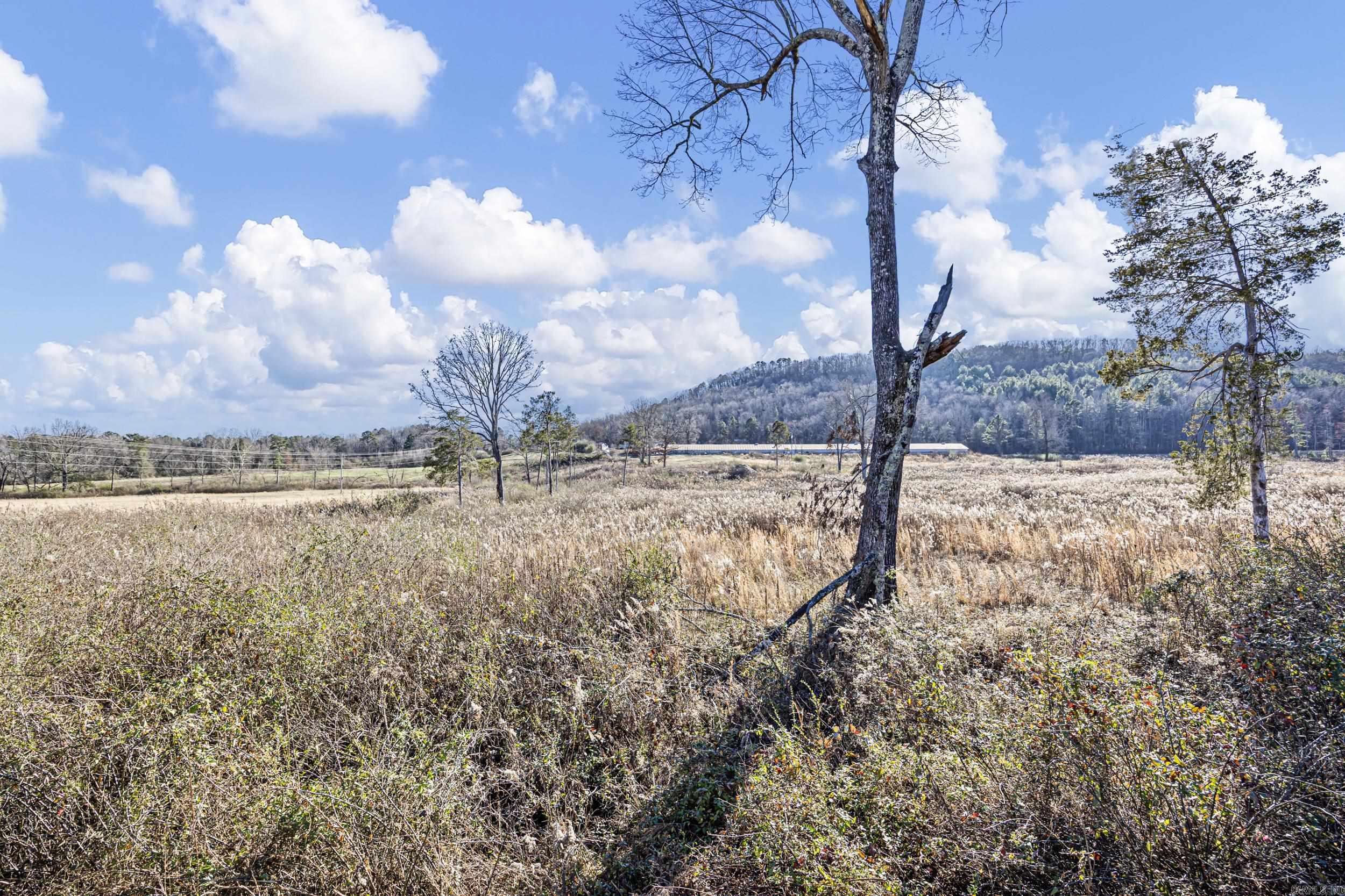 Tract 3 Booger Hollow  Dover, AR