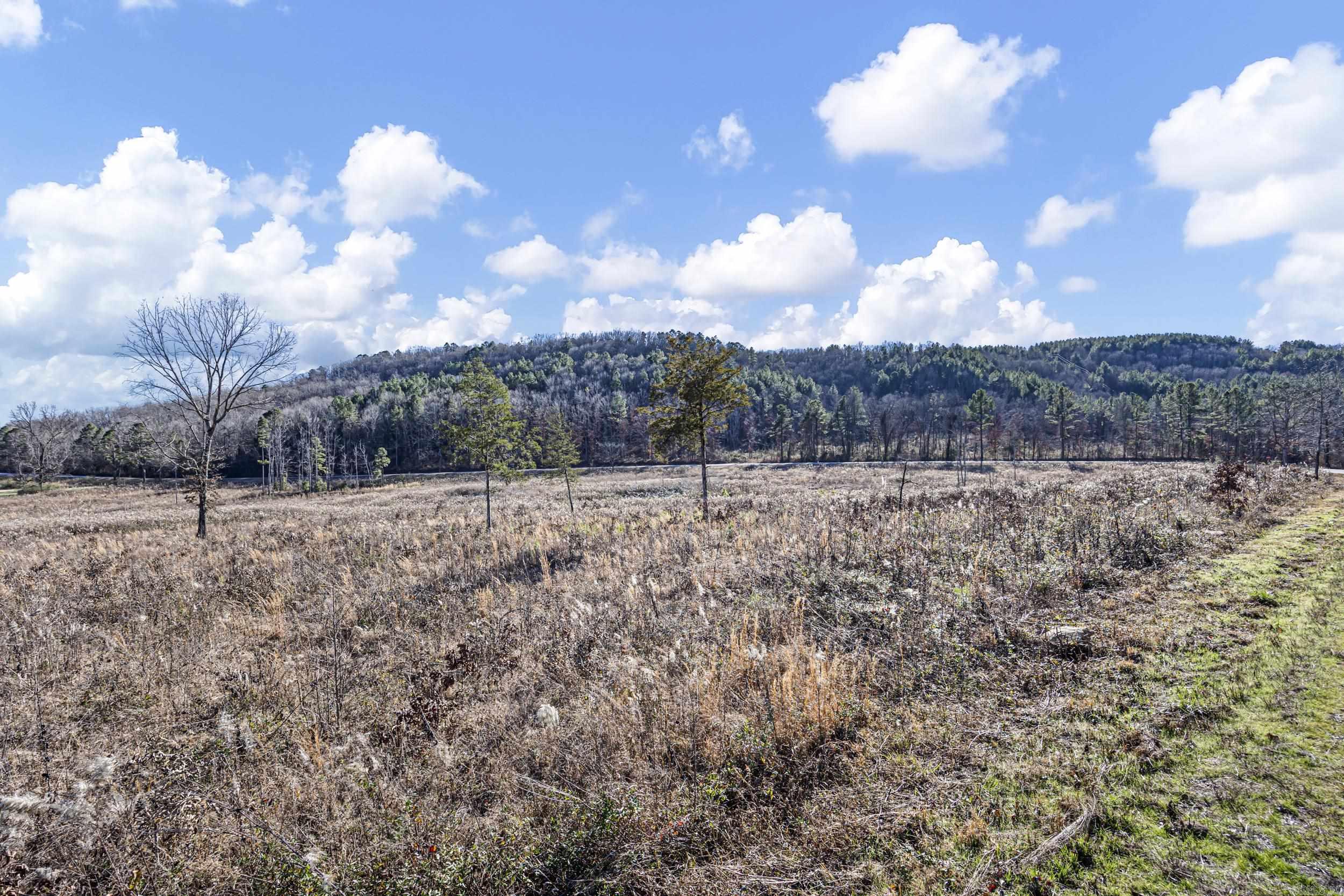 Tract 9 SR 164 W  Dover, AR