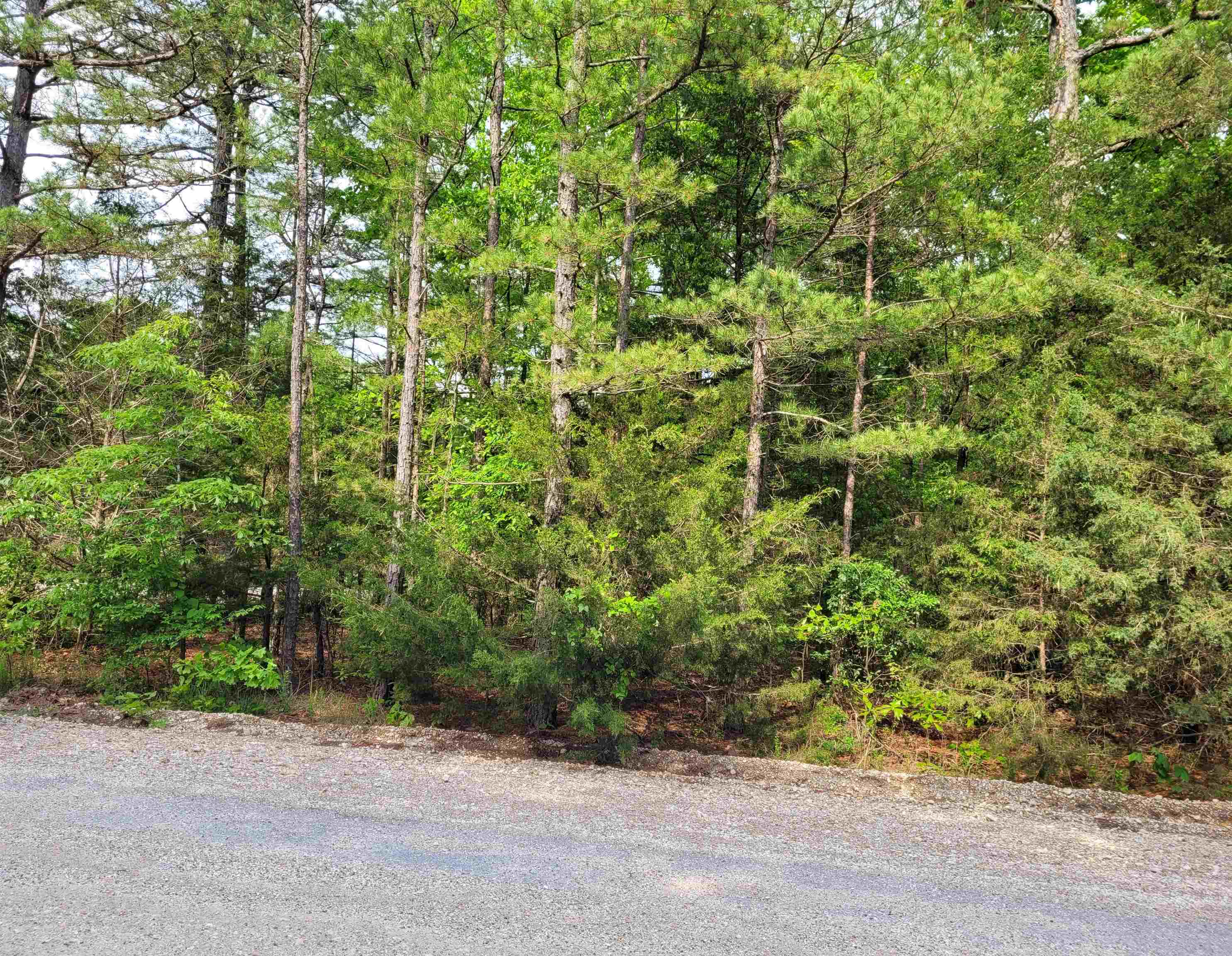 Lot 227 Medley Road  Evening Shade, AR