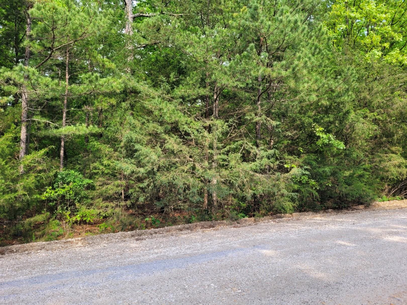 Lot 227 Medley Road  Evening Shade, AR