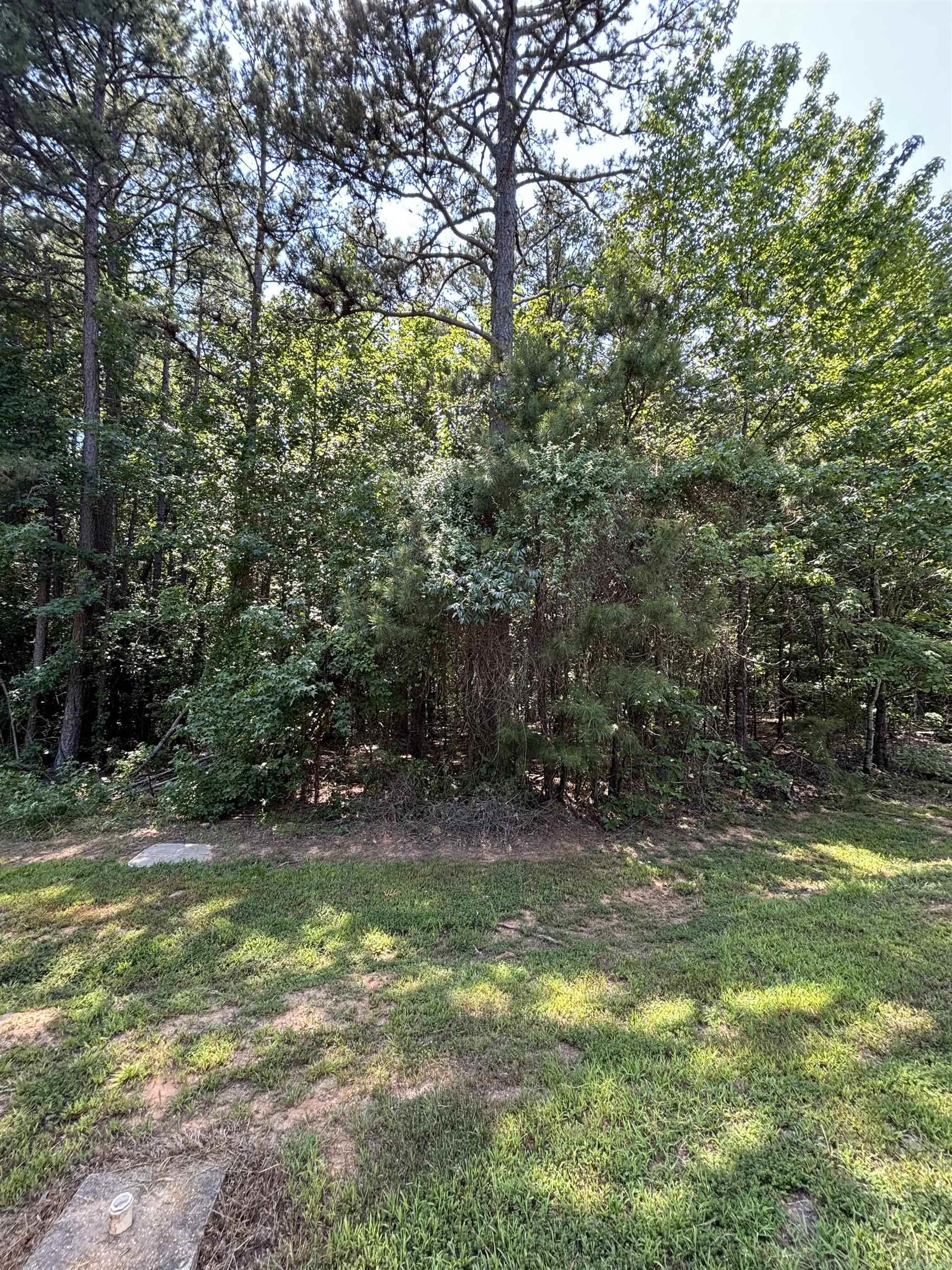 LOT 29 Wood - Shields  Clinton, AR