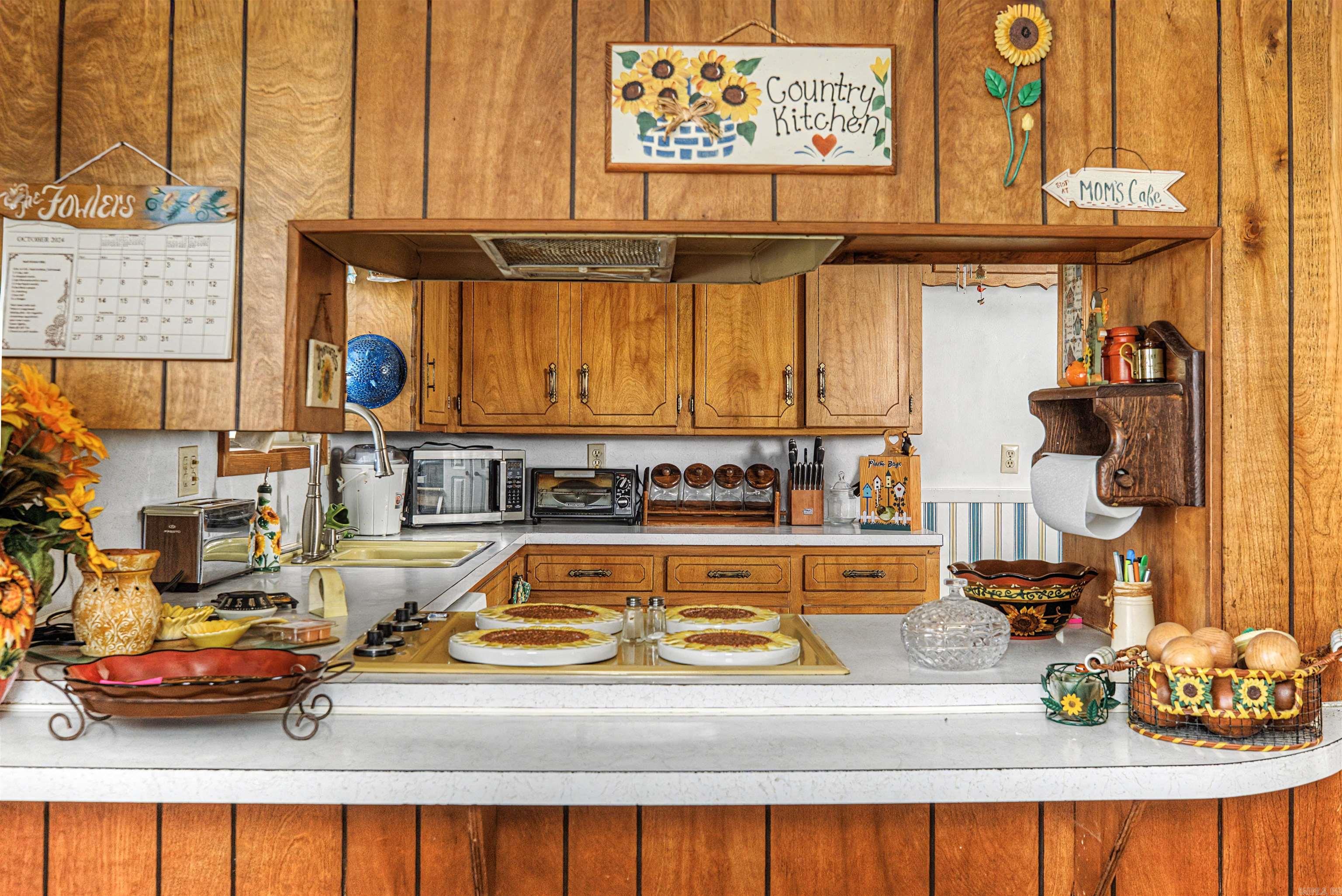 1503 Silver Fox  Pine Bluff, AR