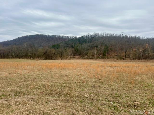 0 Grandpa Jones  Mountain View, AR