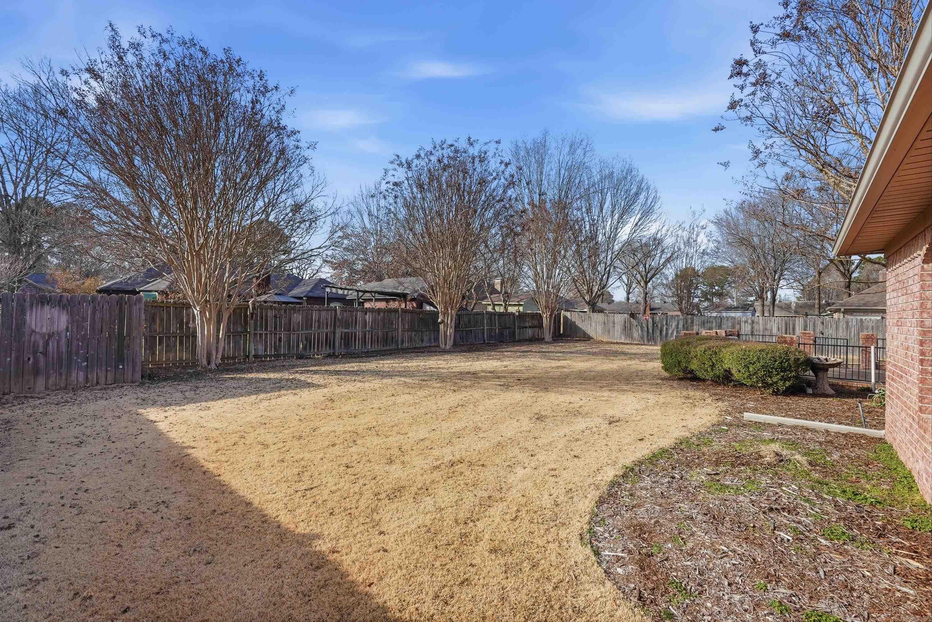 7 Ginger  Conway, AR