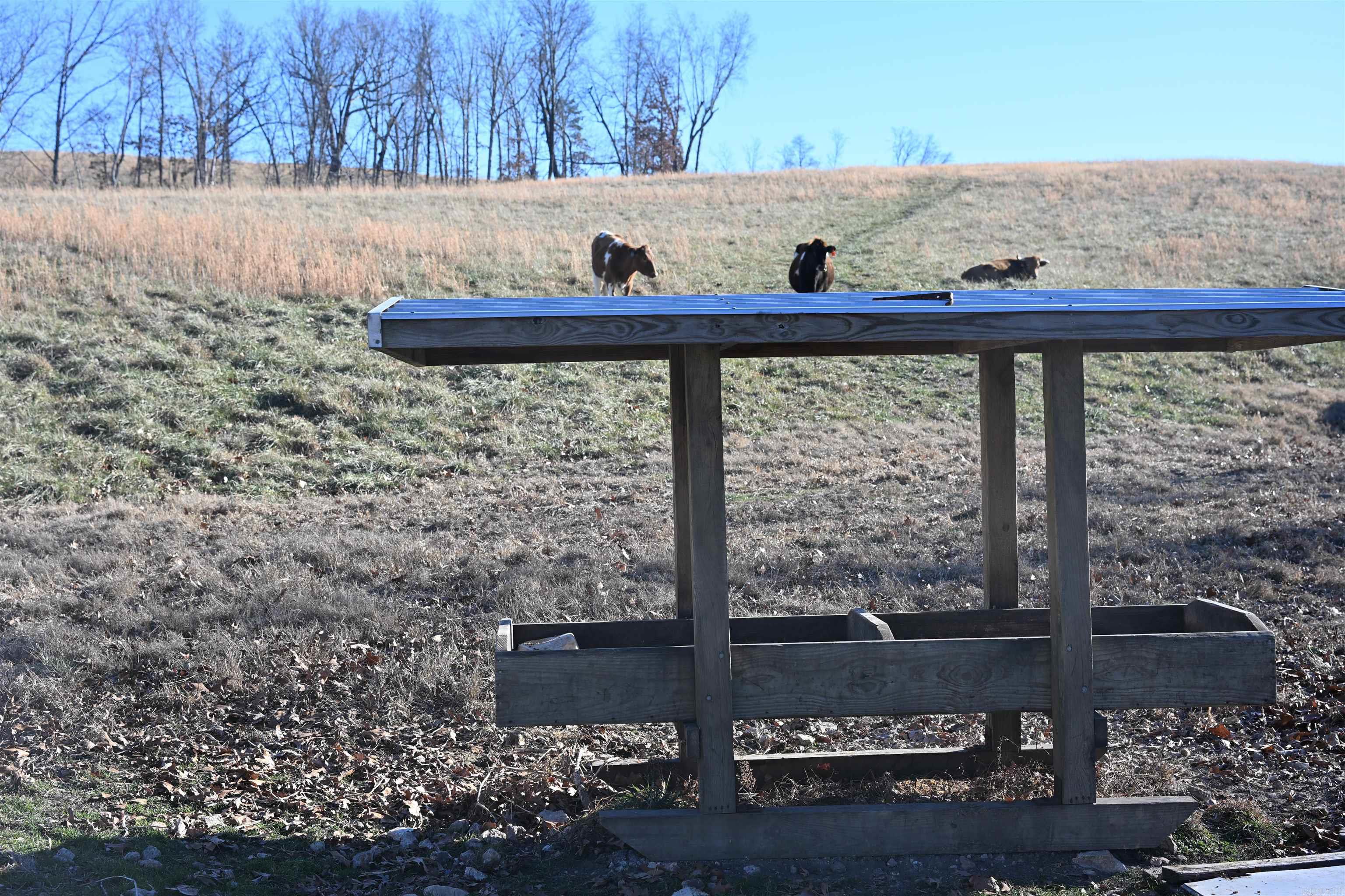 283 Adventure Lane  Marshall, AR