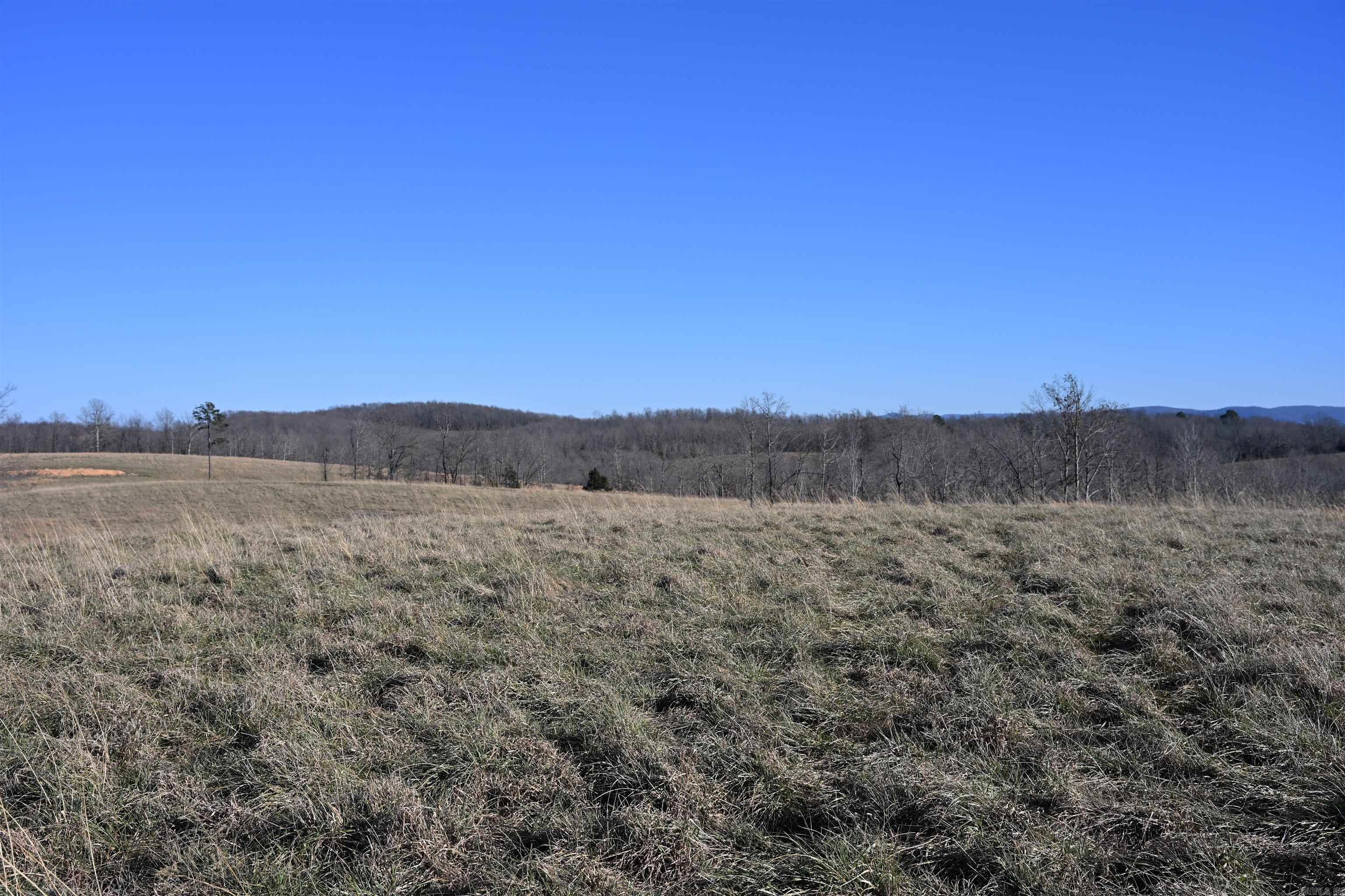 283 Adventure Lane  Marshall, AR