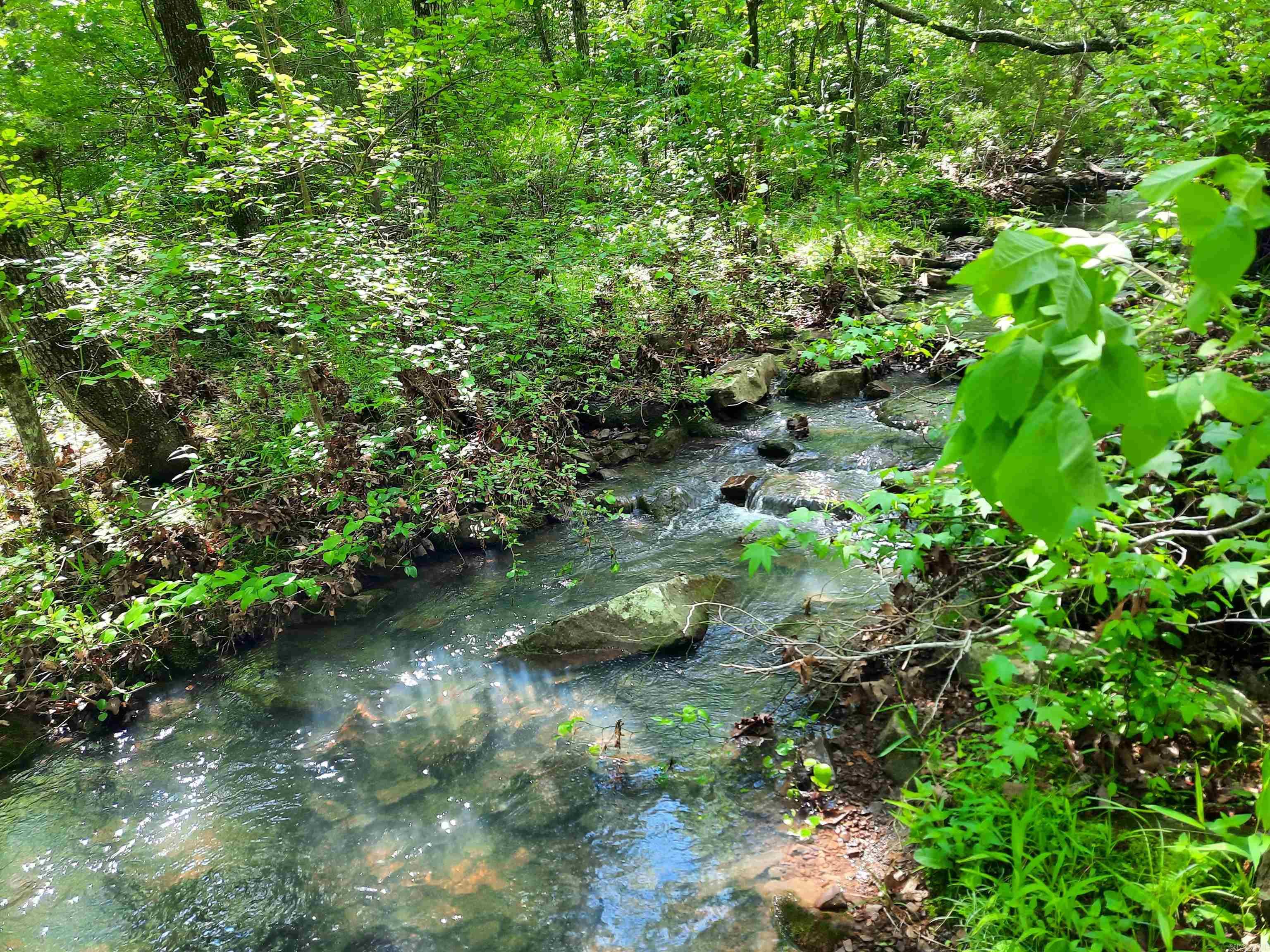  Flat Rock  Mountain View, AR