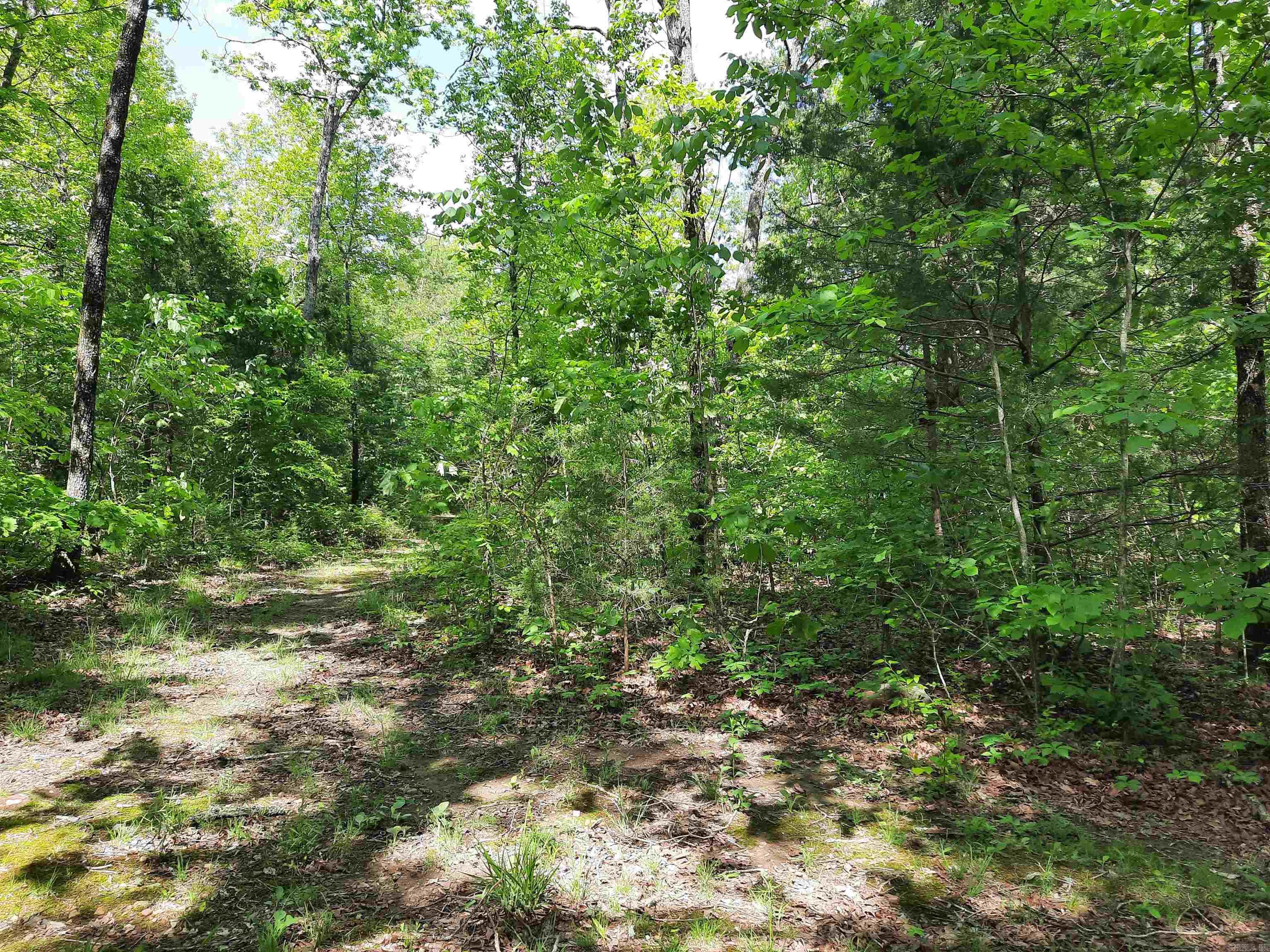  Flat Rock  Mountain View, AR