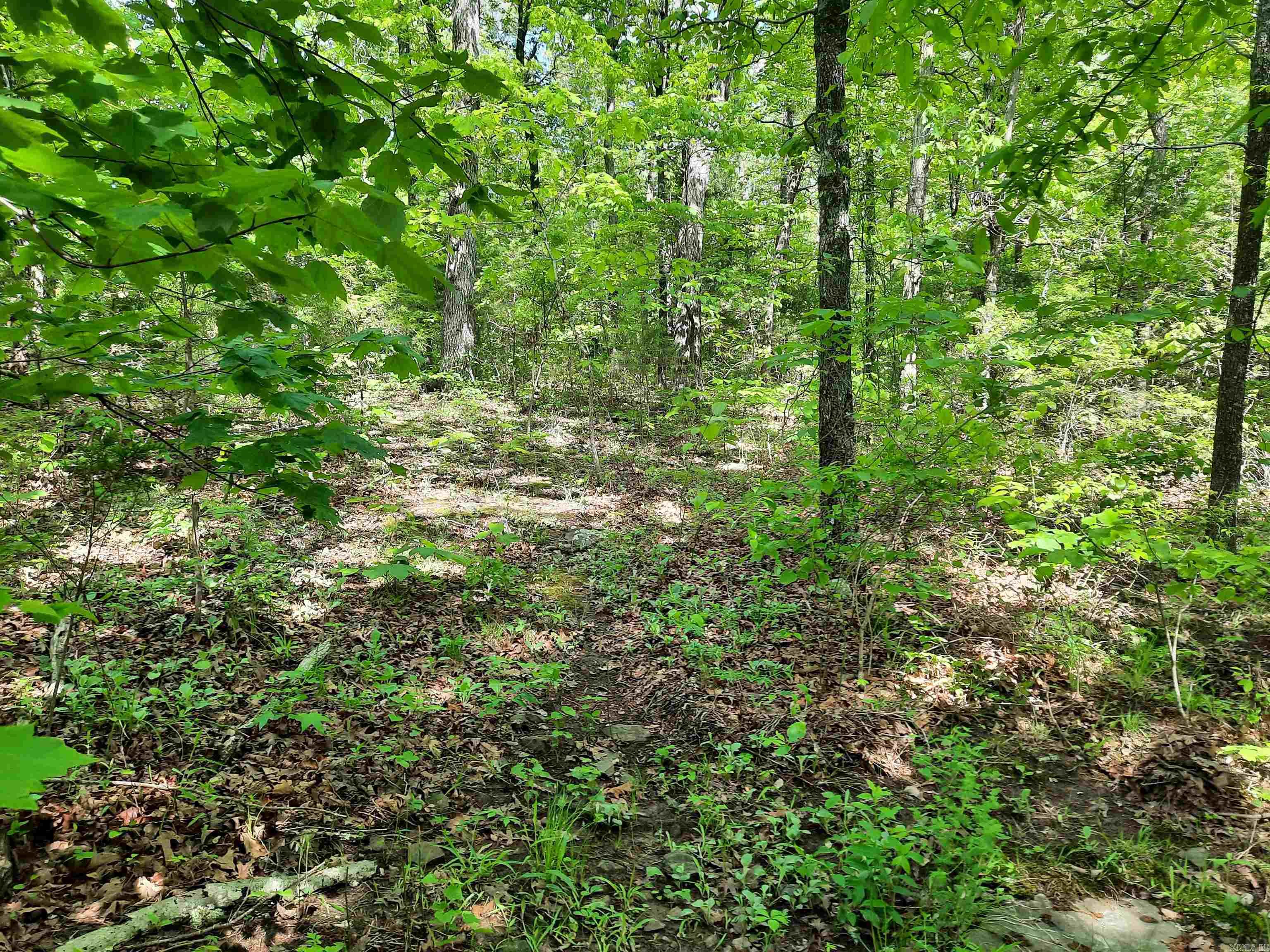  Flat Rock  Mountain View, AR