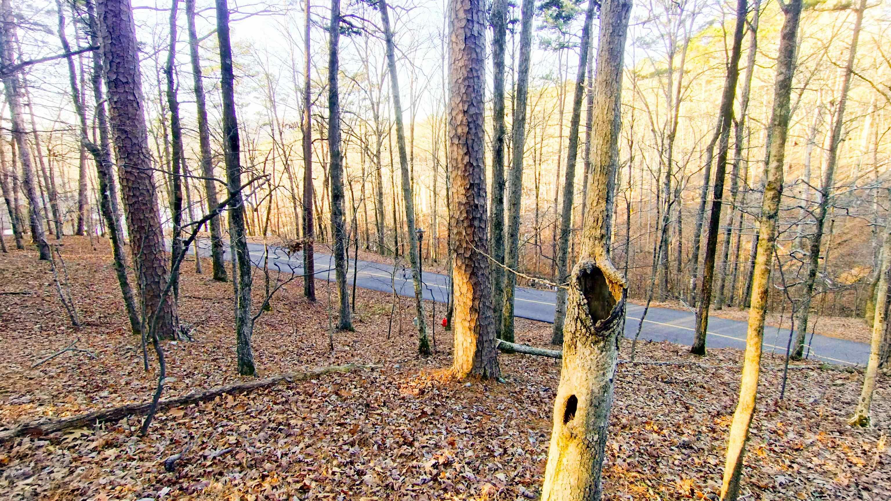 0 Empinado  Hot Springs Village, AR