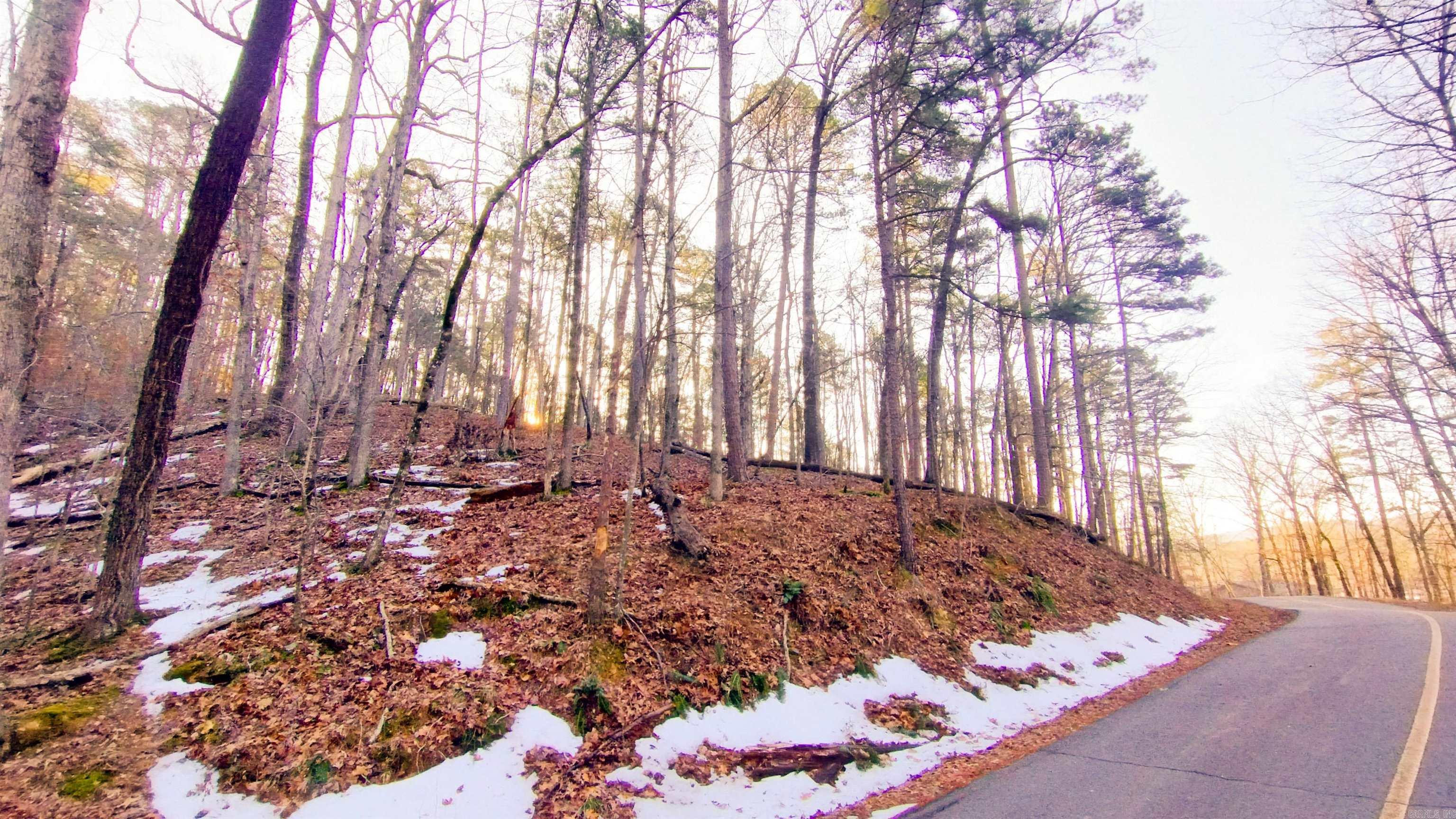 0 Empinado  Hot Springs Village, AR