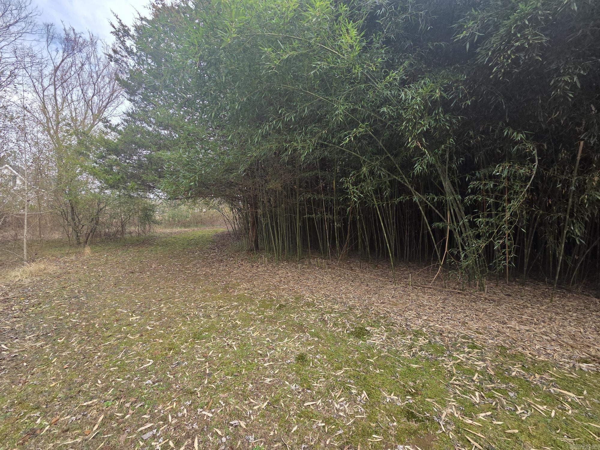 17 acres off Hwy 16  Searcy, AR