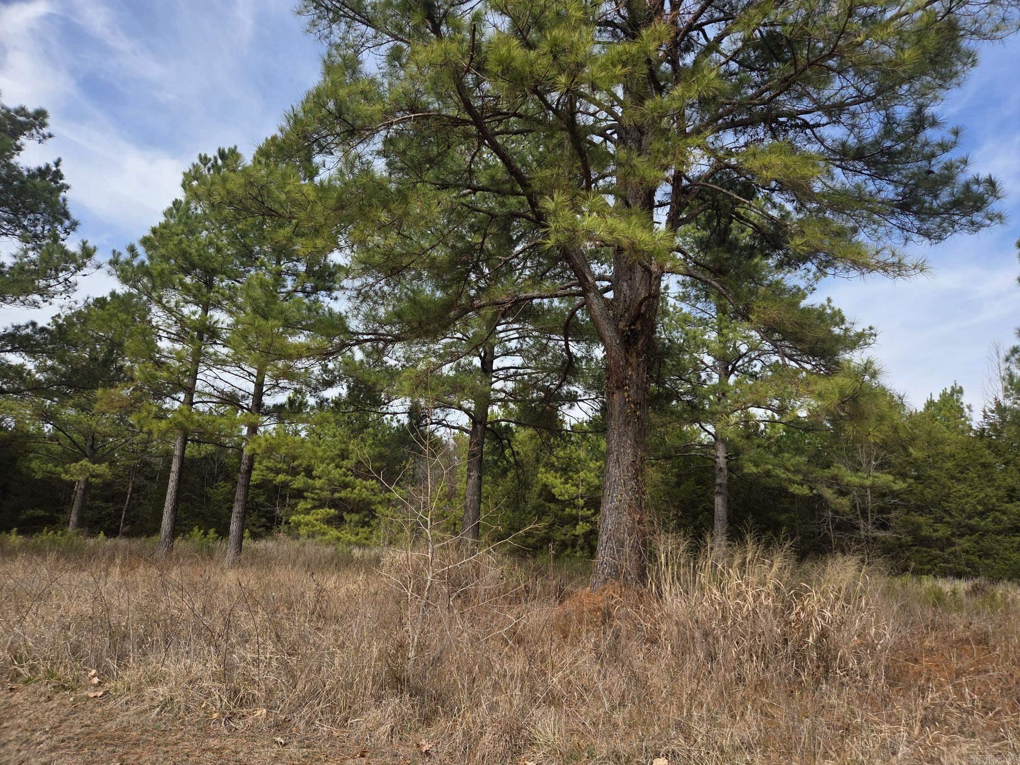 17 acres off Hwy 16  Searcy, AR