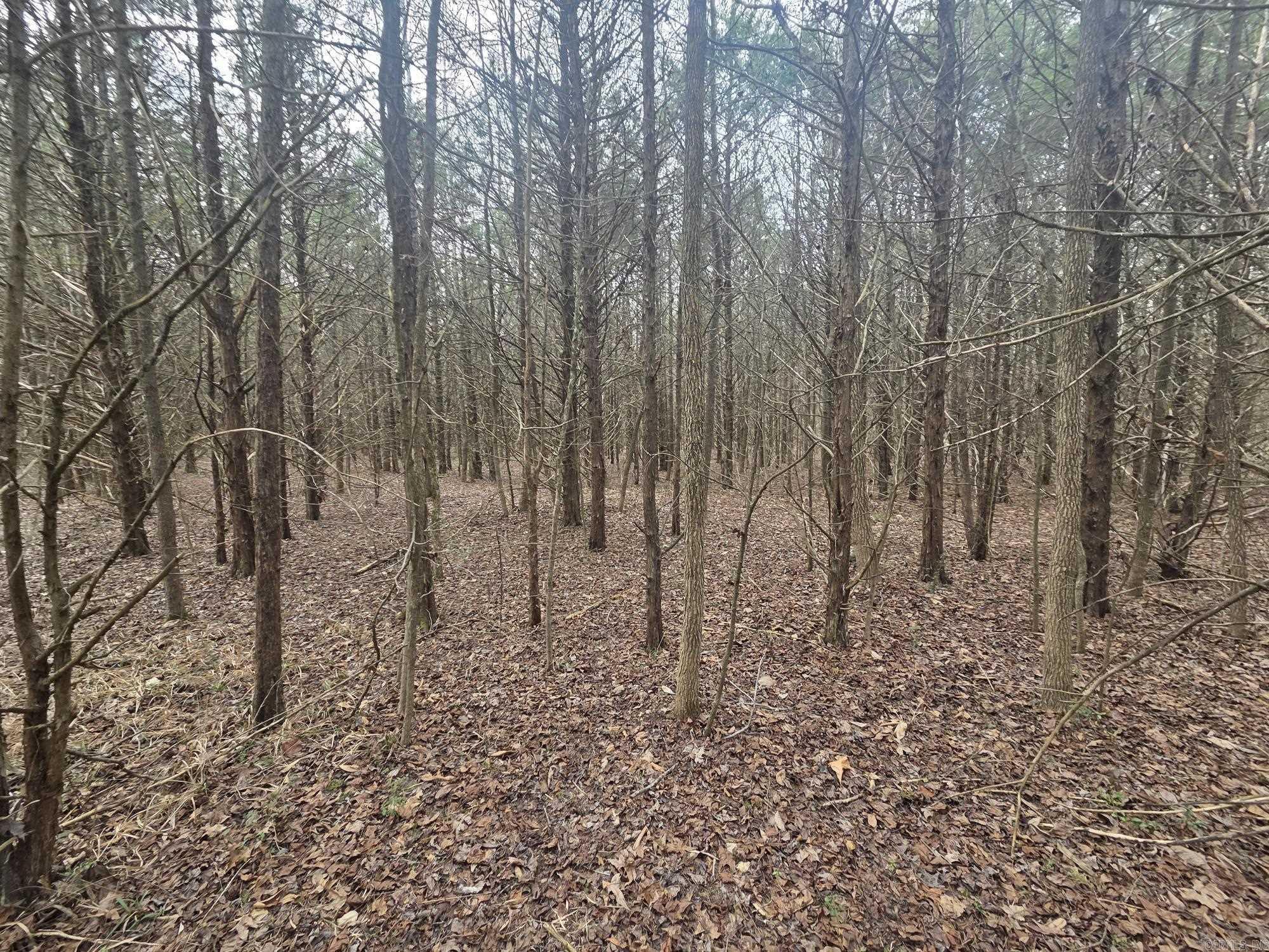 17 acres off Hwy 16  Searcy, AR