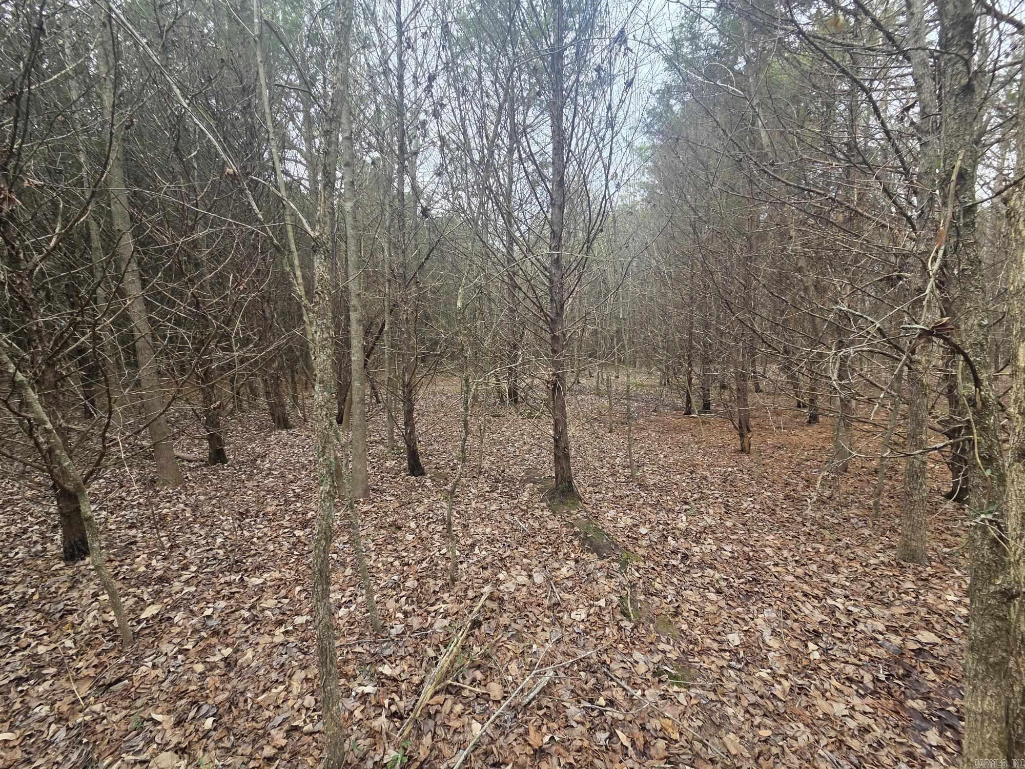17 acres off Hwy 16  Searcy, AR
